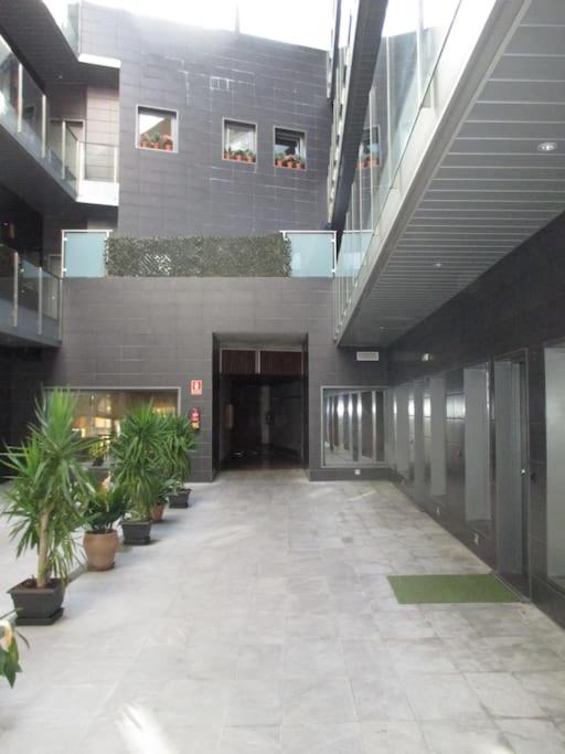 Loft Victoria photo 3