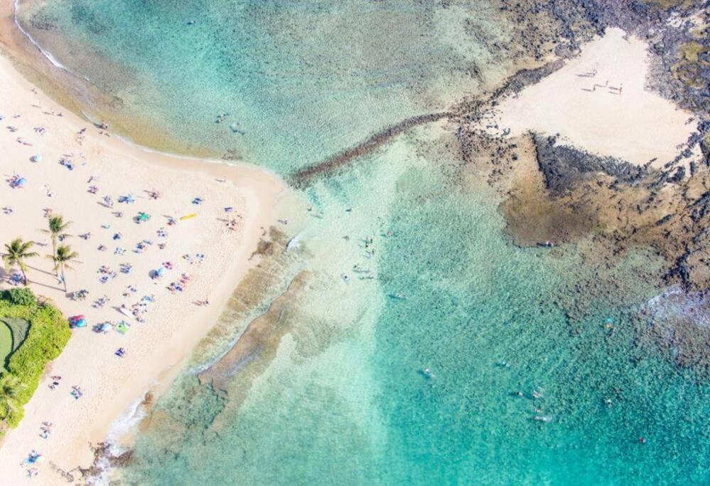 Photo 56