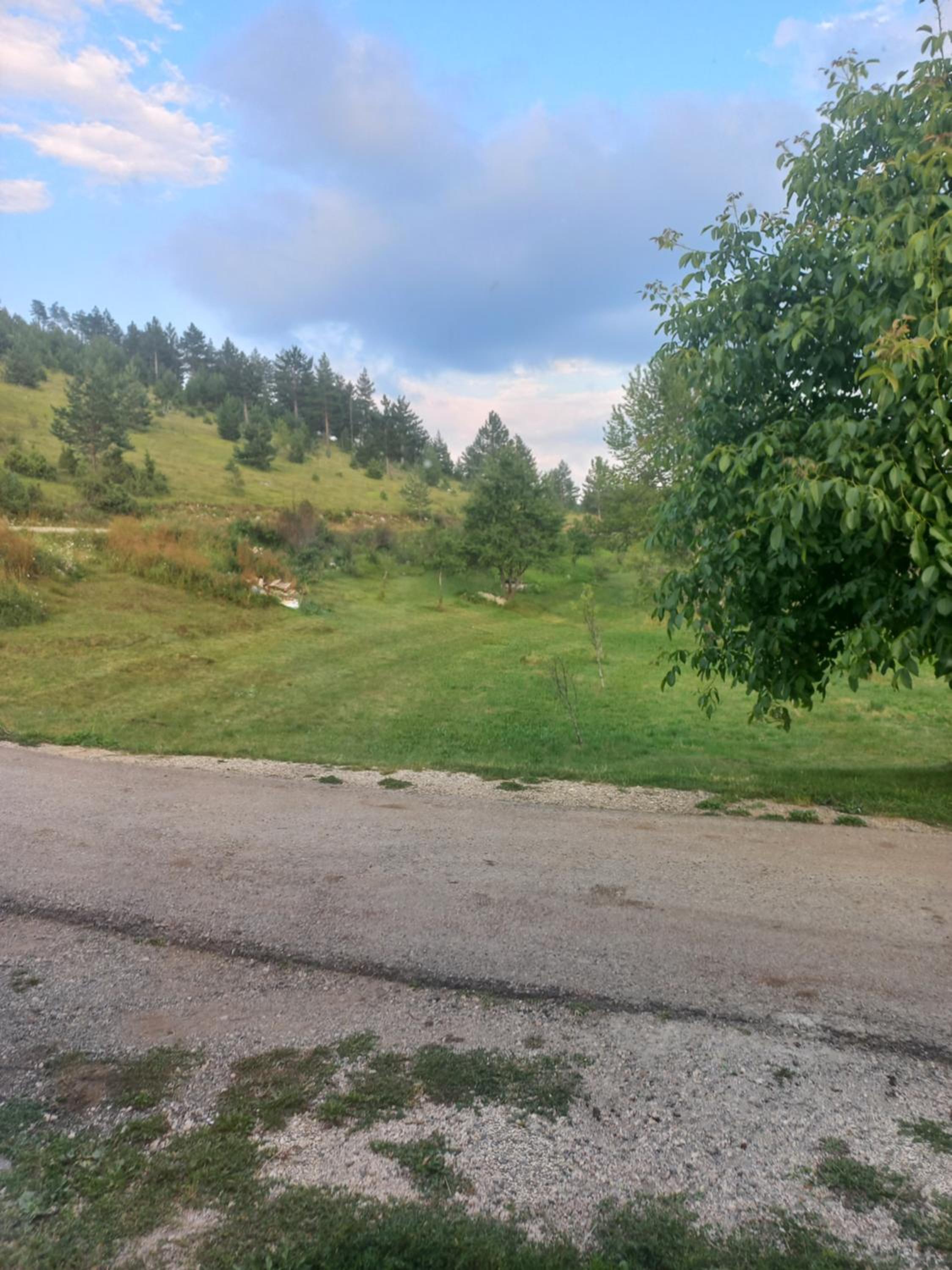 Petrovica