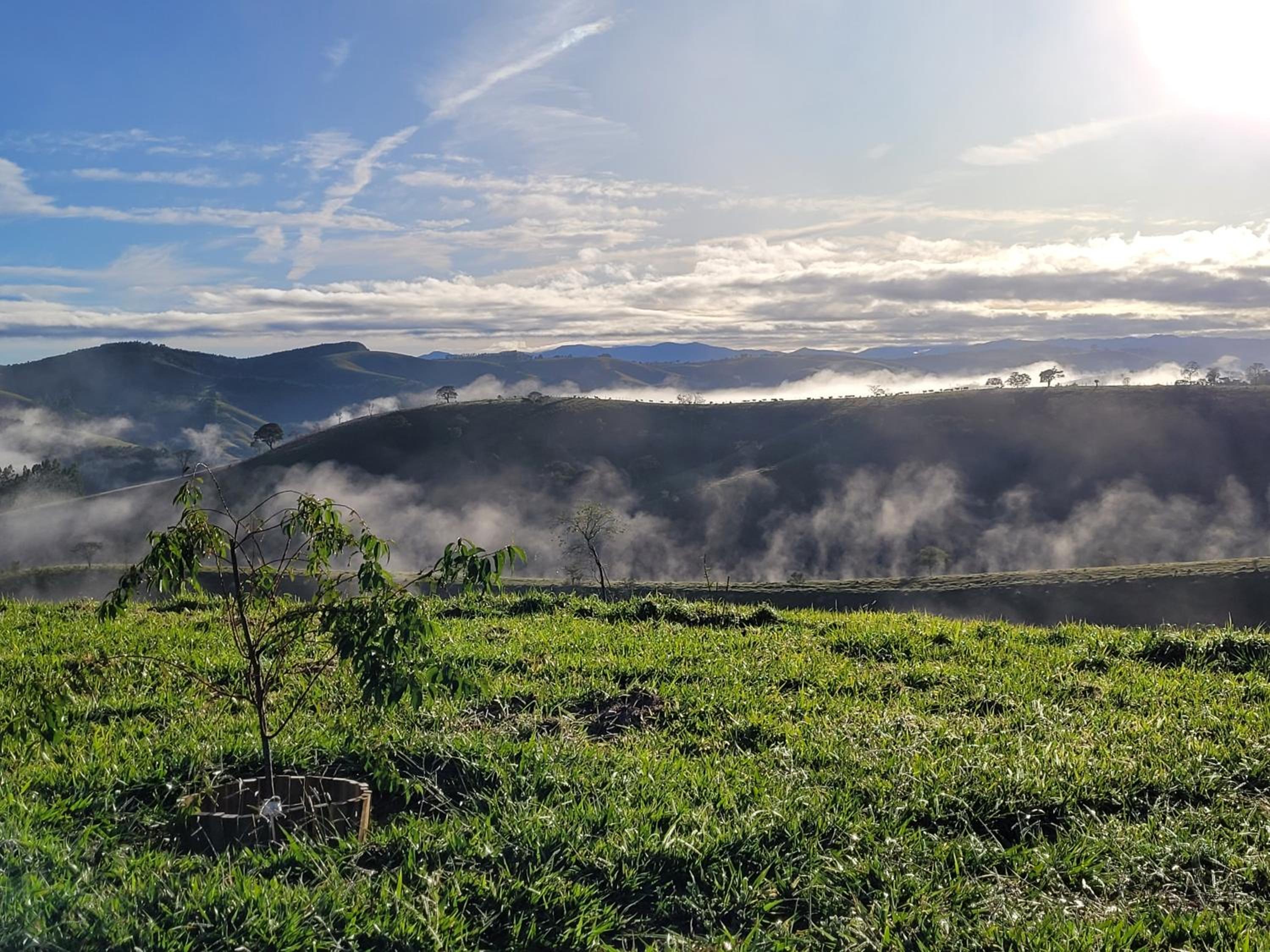 Casa de Campo em Cunha - Vila Santa Cruz Cunha - Vista Exuberante