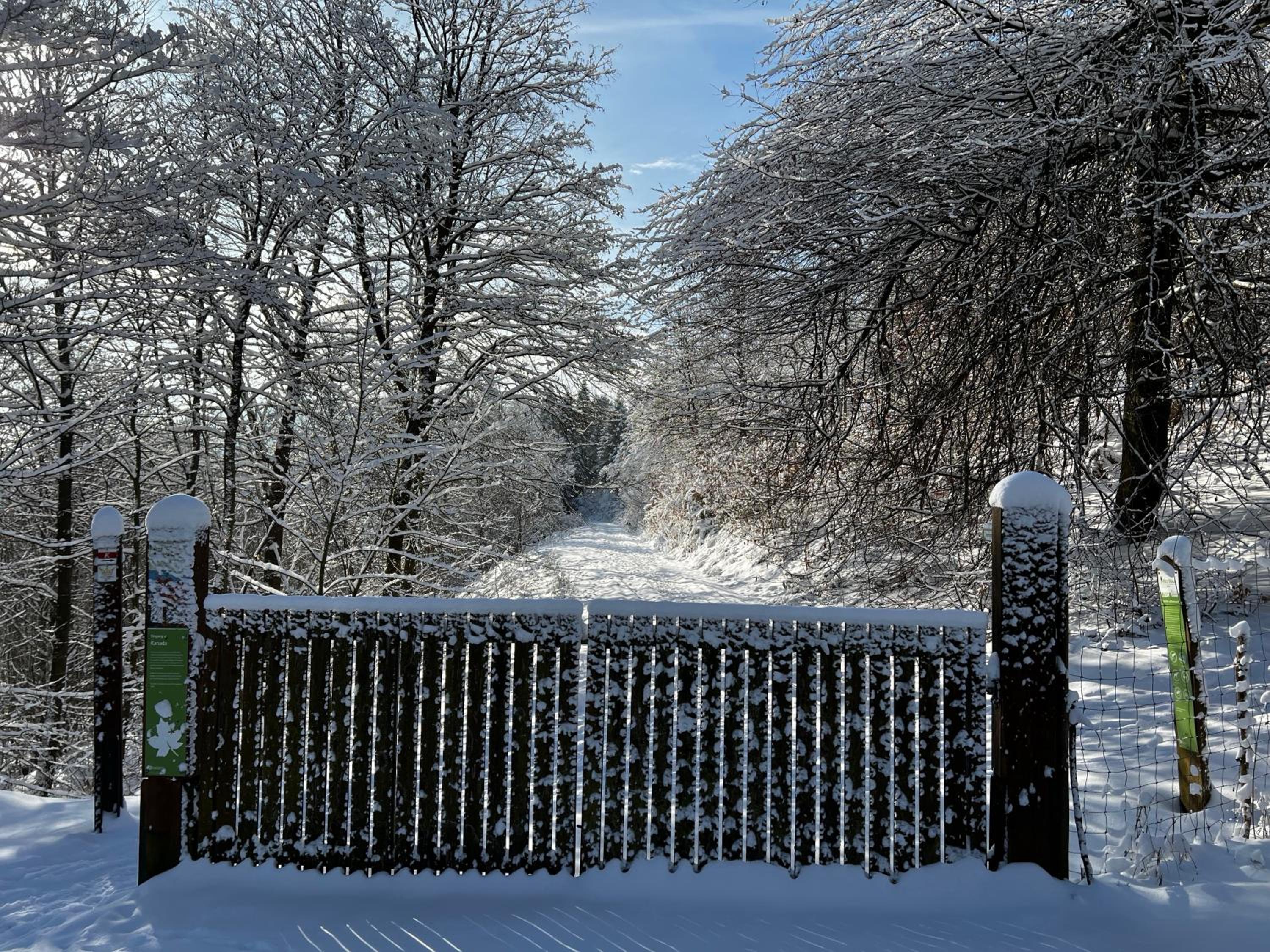 FeHaus Weltwald Harz