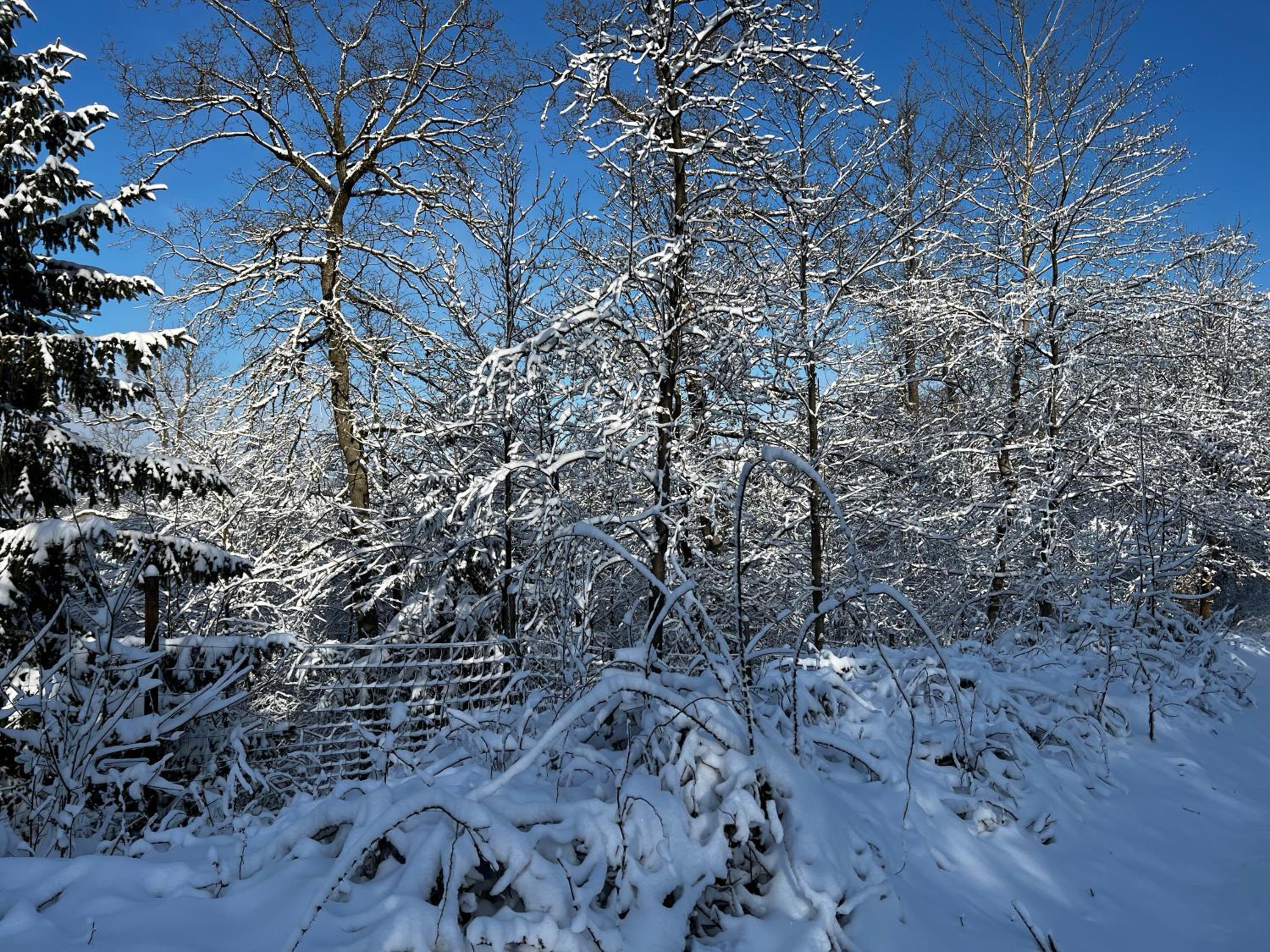 FeHaus Weltwald Harz