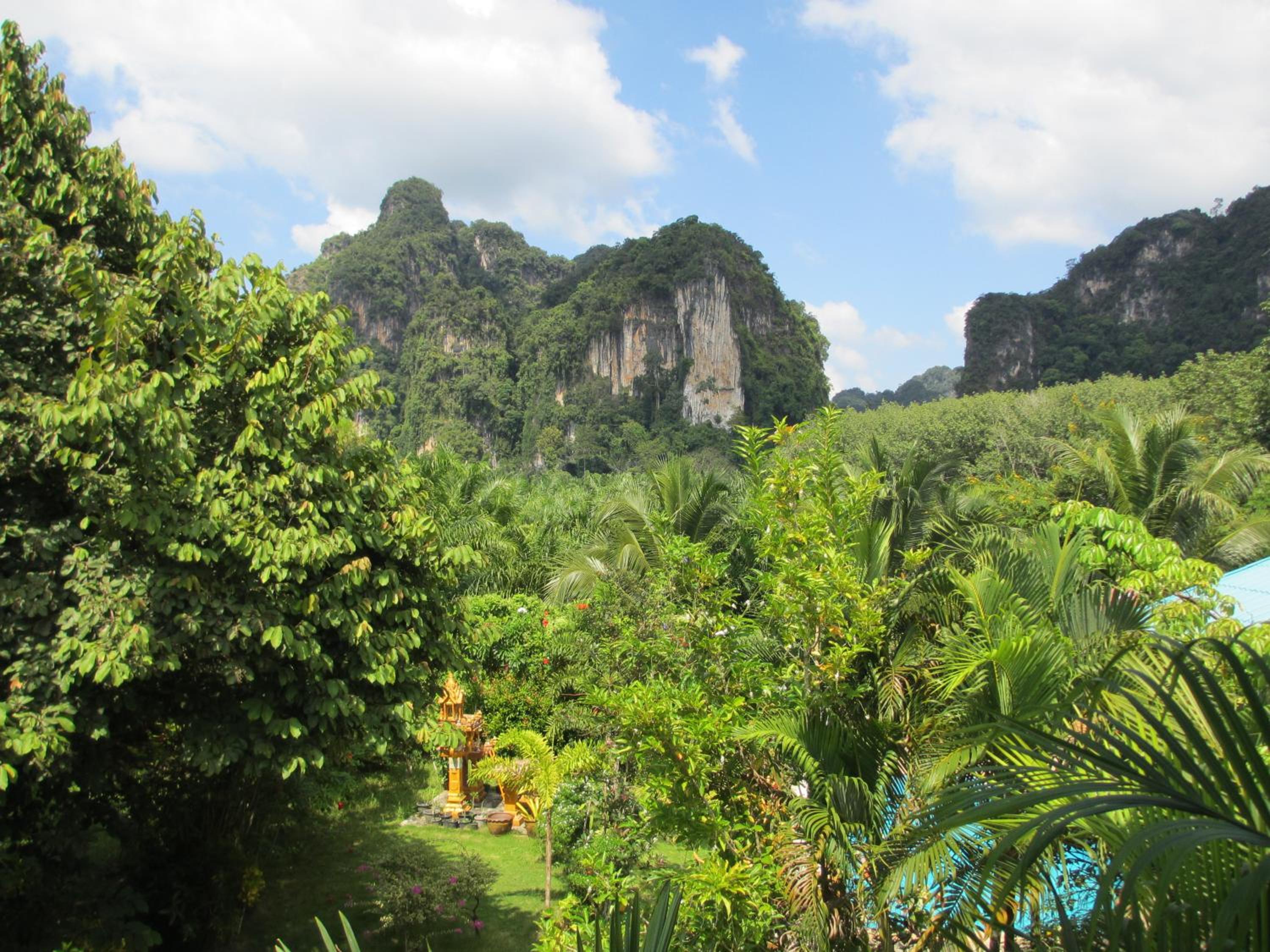 Real Relax Resort