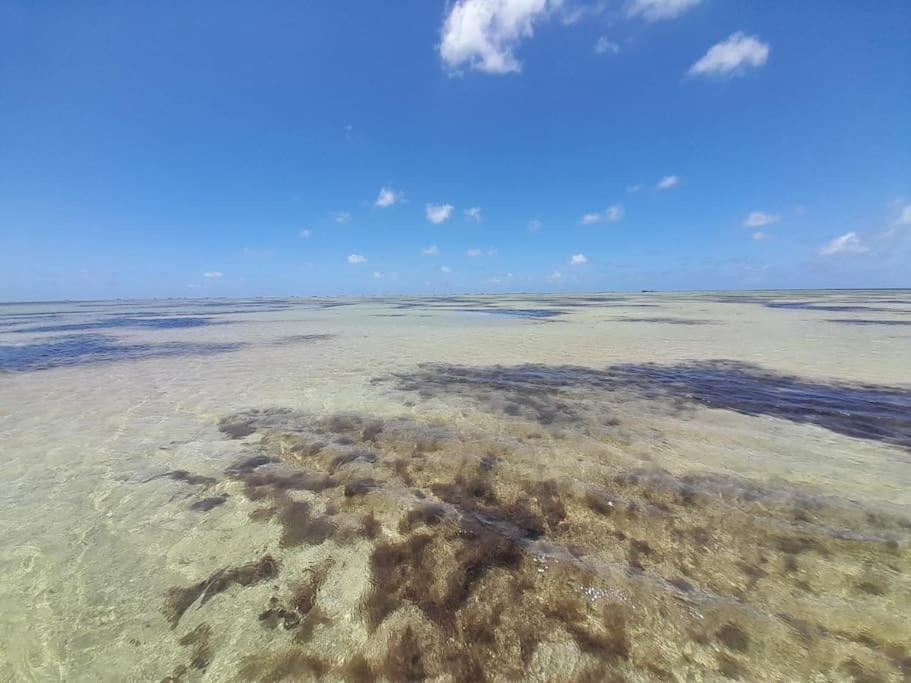 Villa das Pedras - Ponta de Pedras