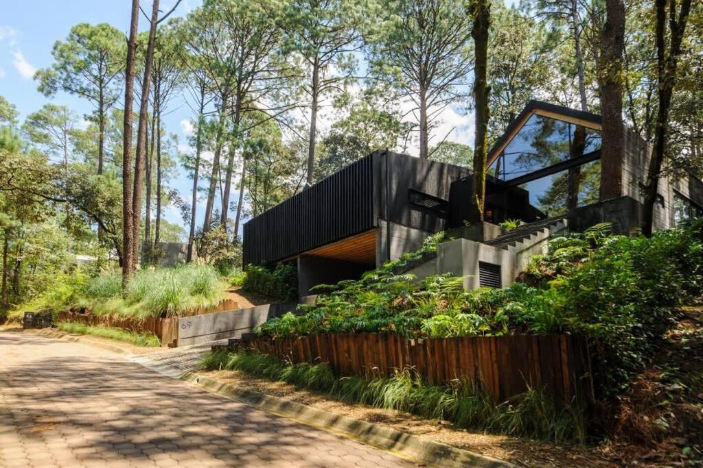 Casa Fika Surrounded by forest in Rancho Avándaro