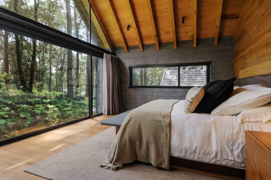 Casa Fika Surrounded by forest in Rancho Avándaro