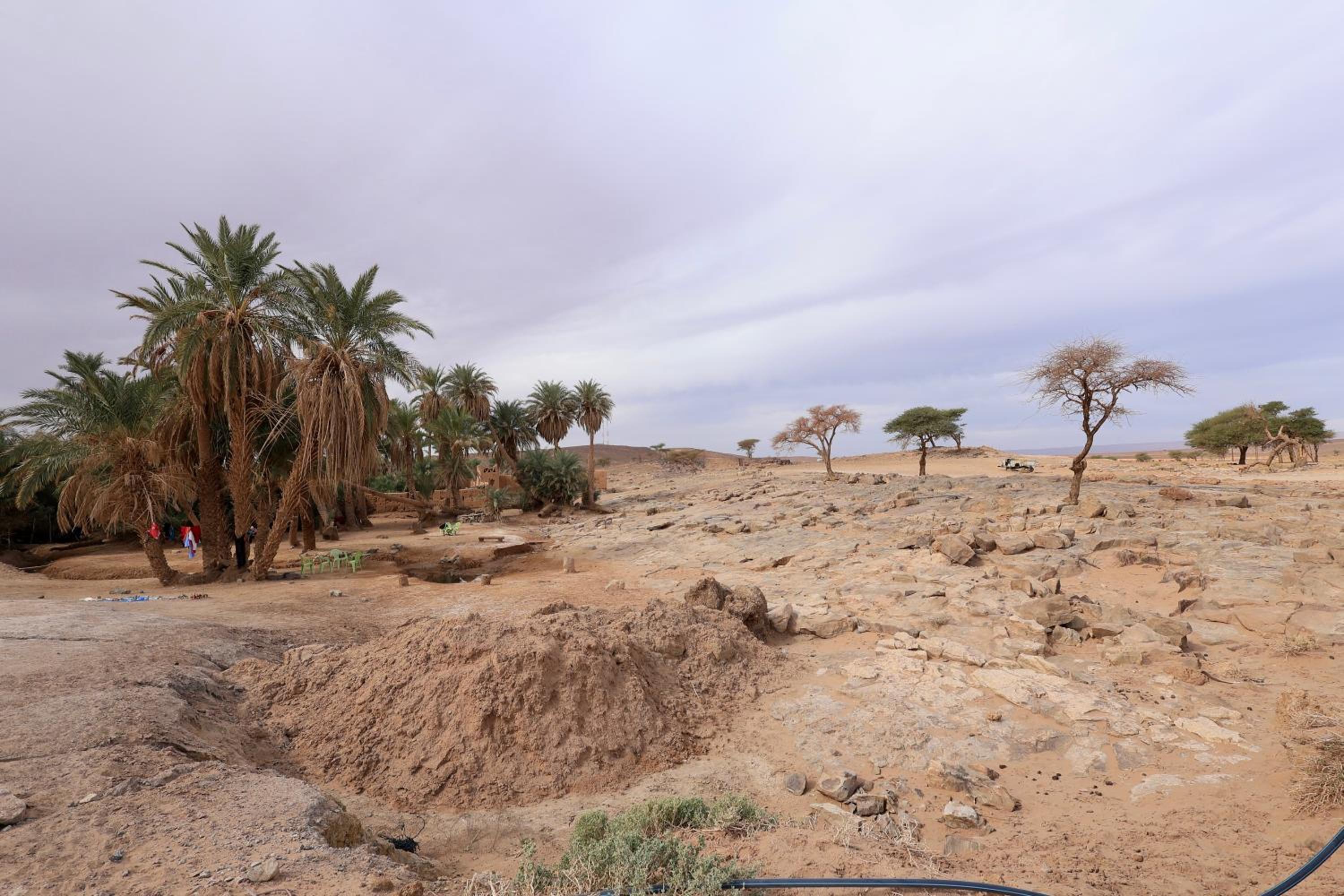 Mhamid El Ghizlane Essence view 5