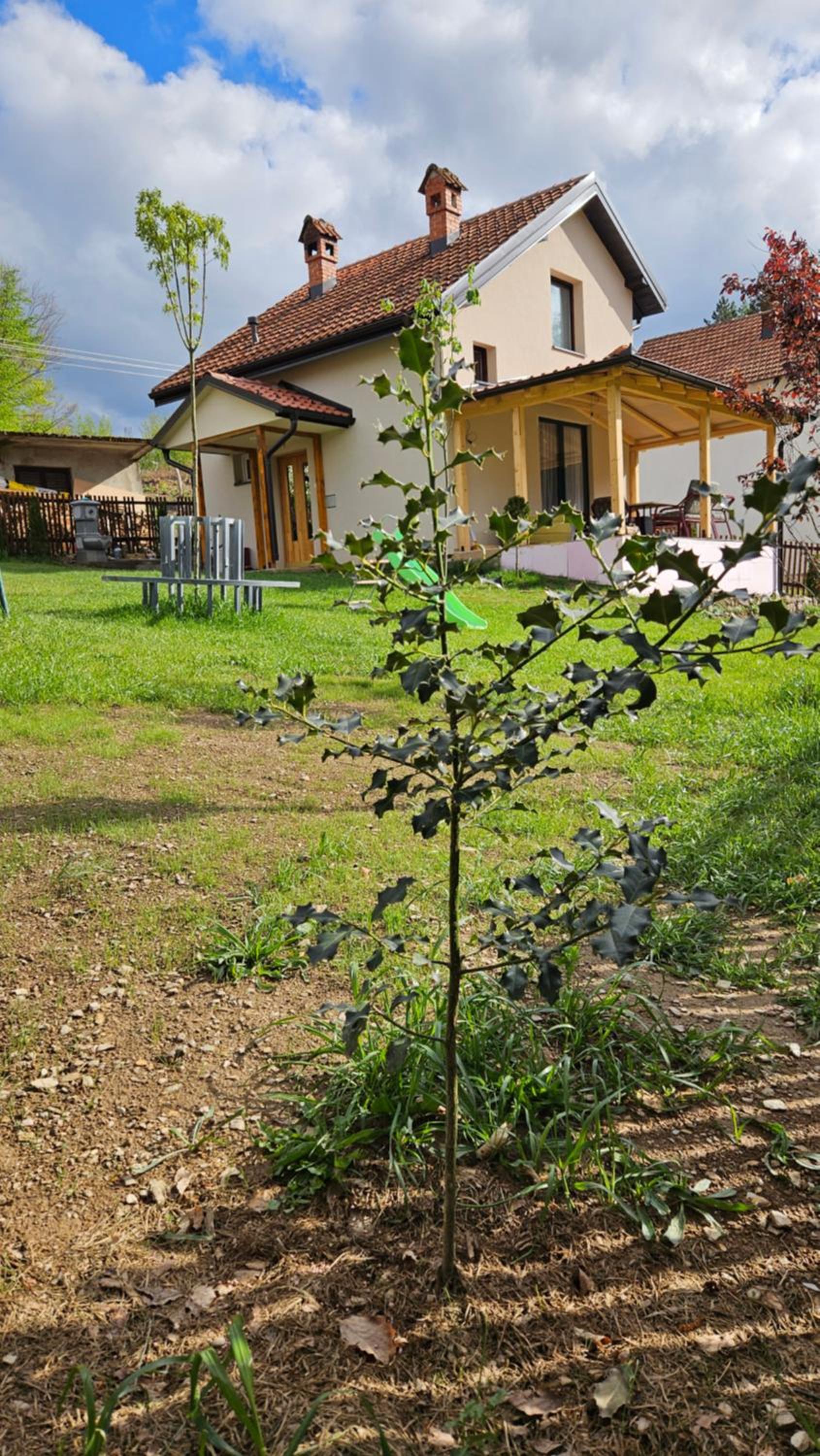 Ruža vetrova view 2