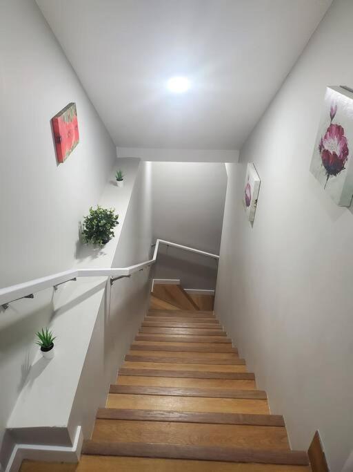 Brand new 2 bedrooms basement suite 15mins from YYC Airport