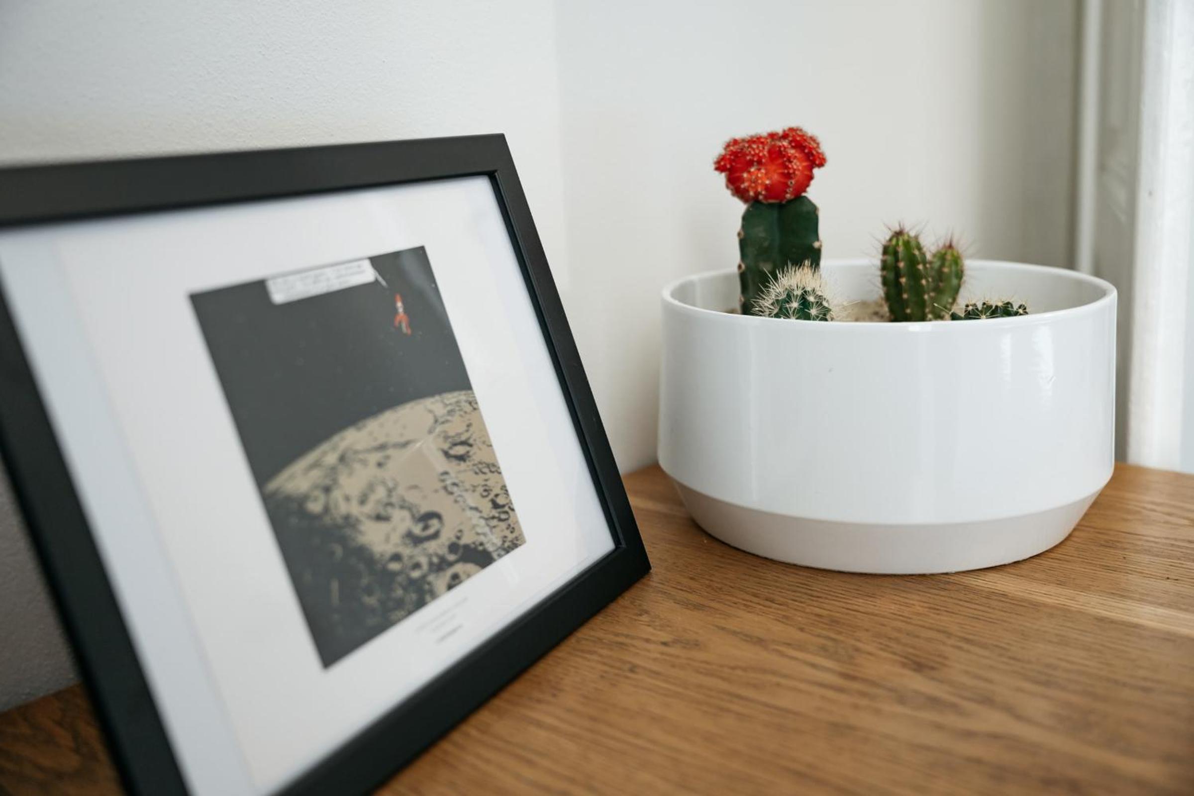Comfortable and cosy apt a few steps from Dancing House and Naplavka Dance