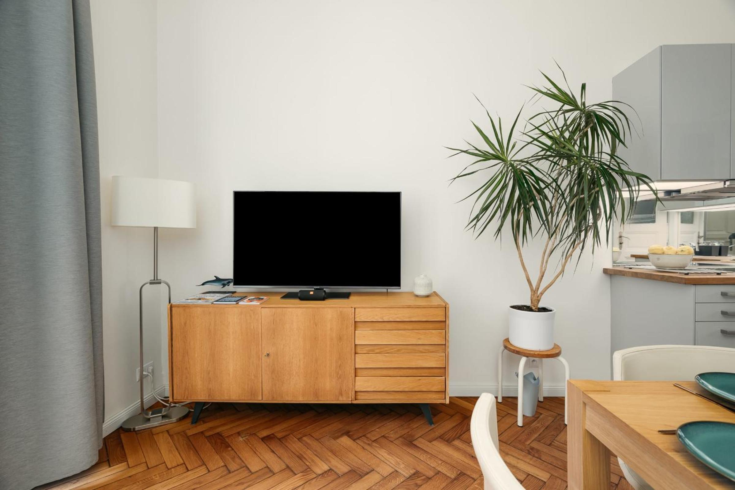 Comfortable and cosy apt a few steps from Dancing House and Naplavka Dance