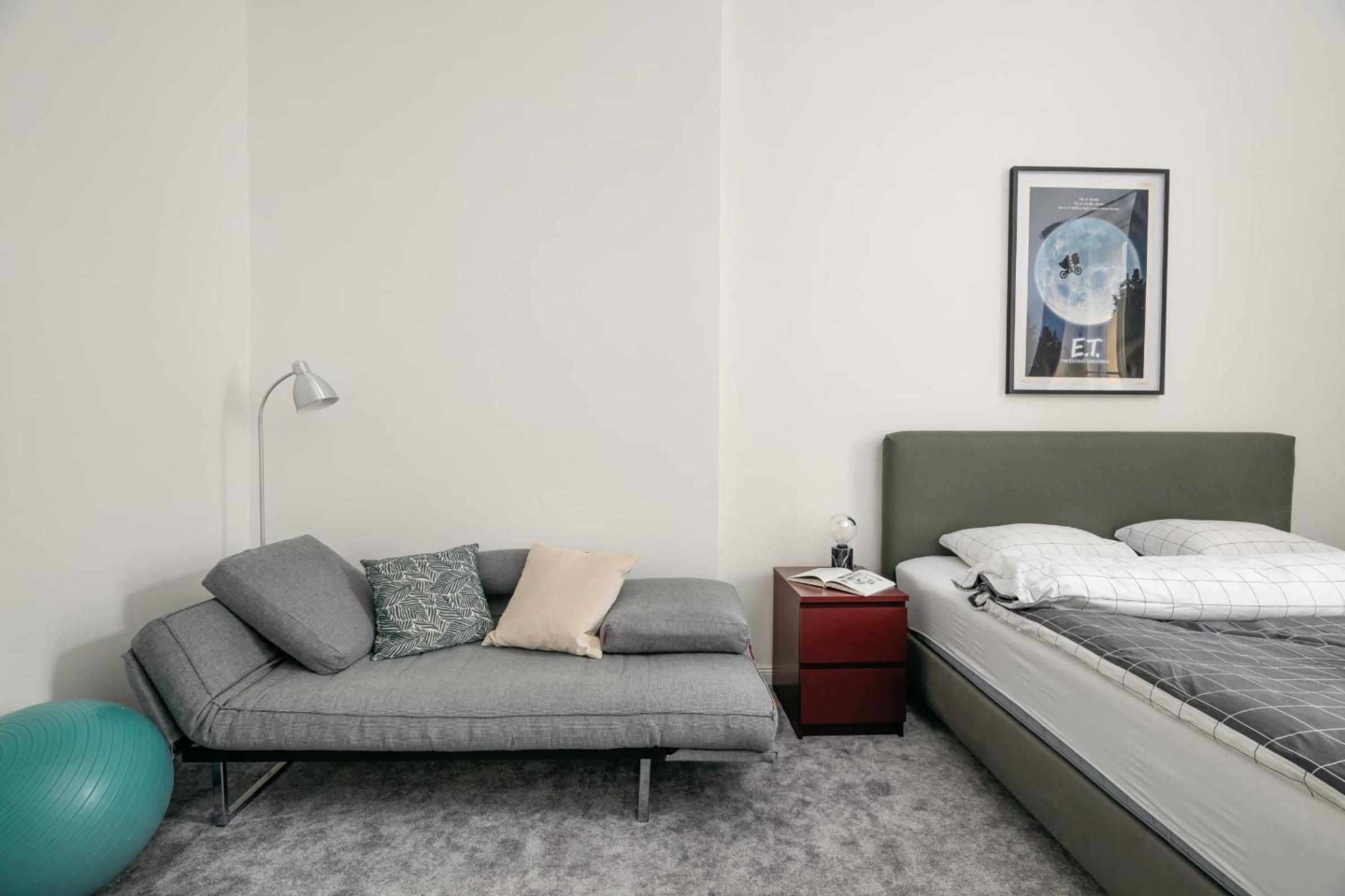 Comfortable and cosy apt a few steps from Dancing House and Naplavka Dance