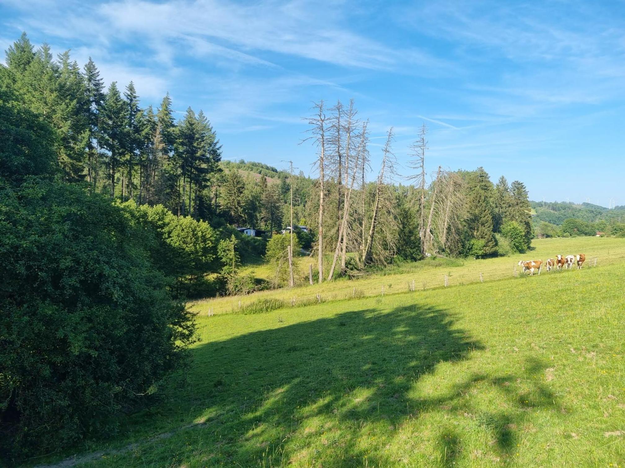 Explorer's Lodge & Camping