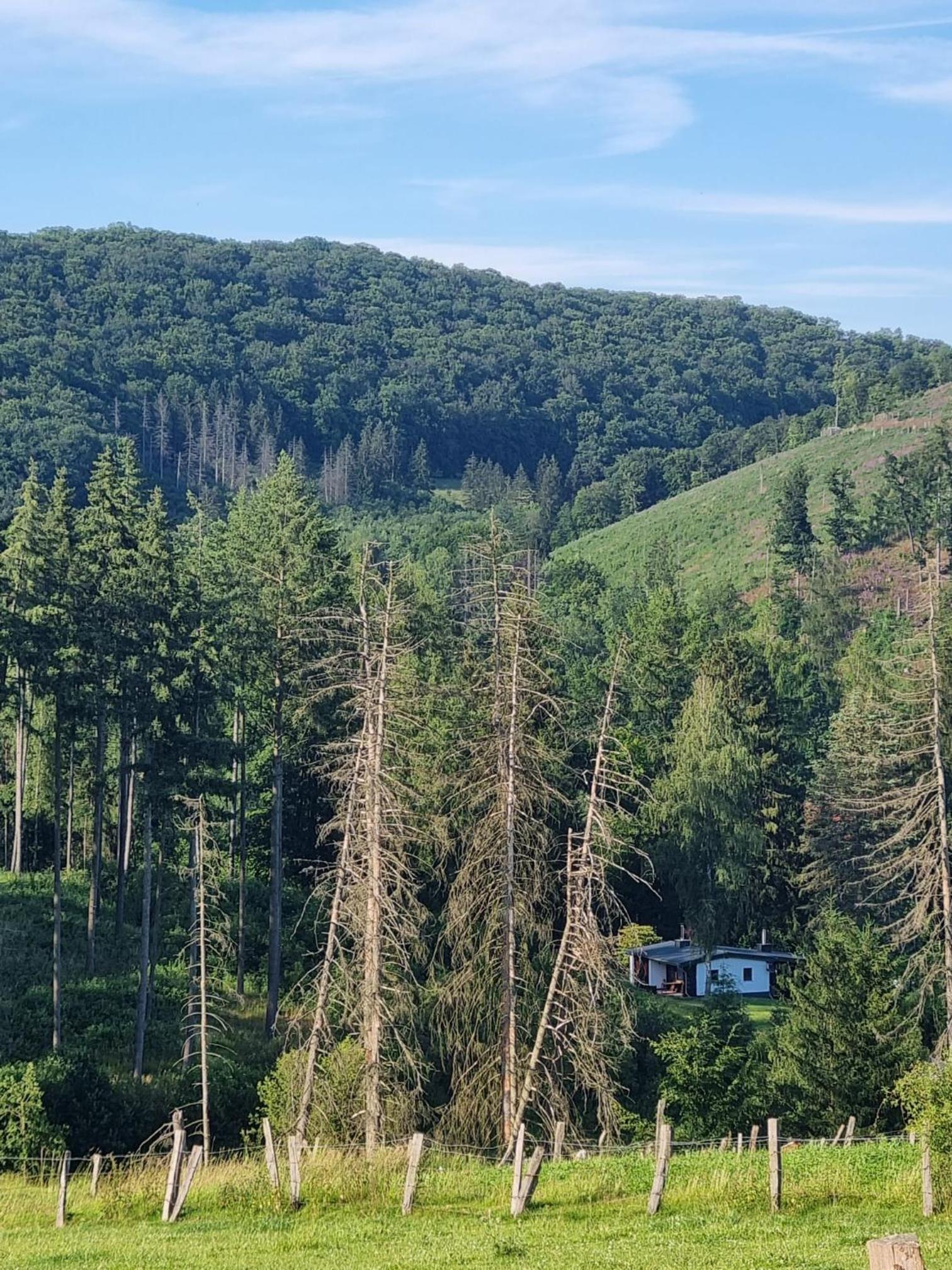 Explorer's Lodge & Camping