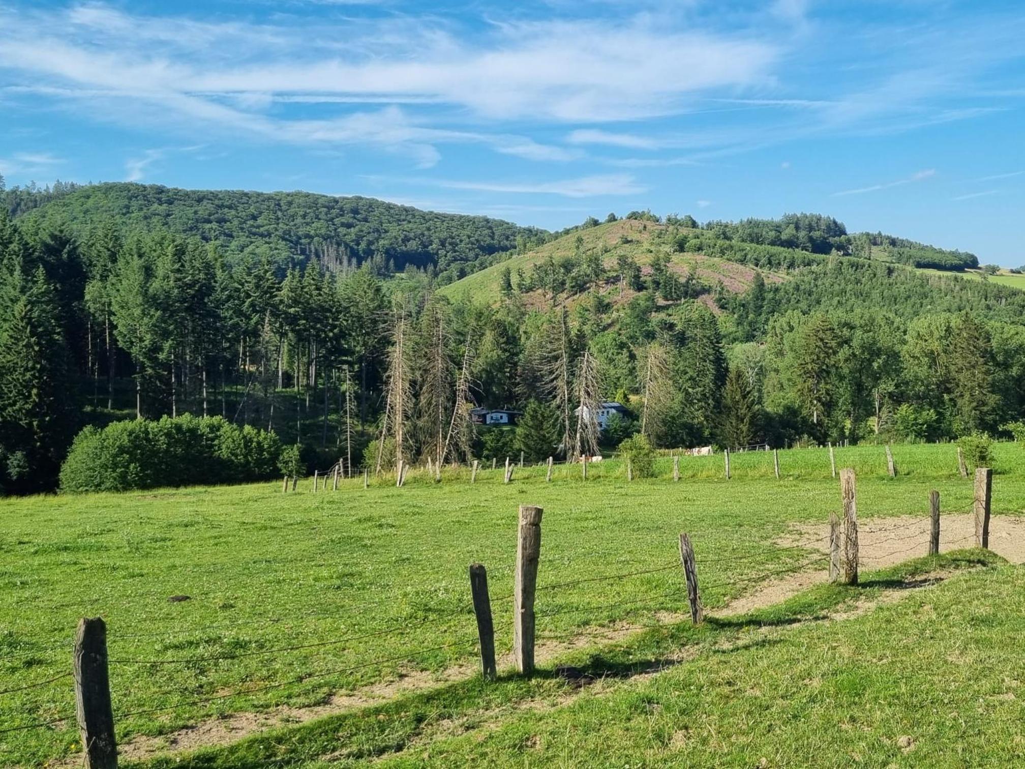 Explorer's Lodge & Camping