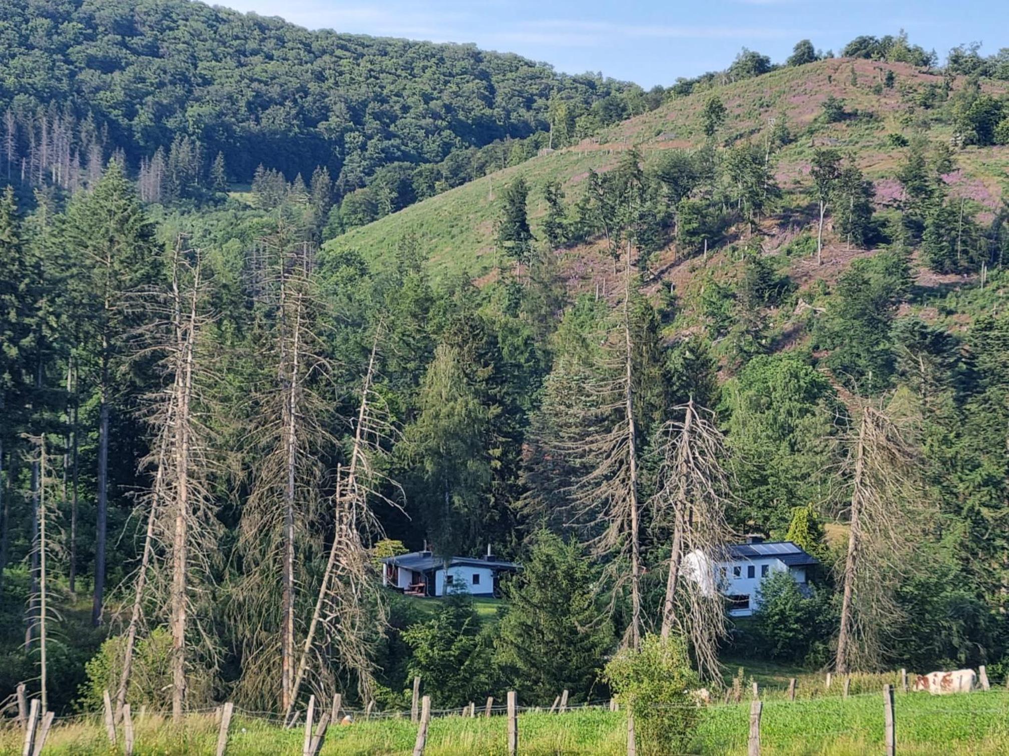 Explorer's Lodge & Camping