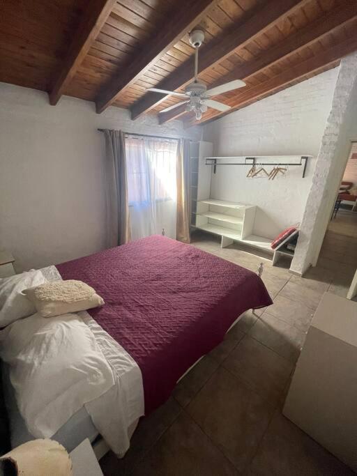 Cómodo departamento de huéspedes con cochera