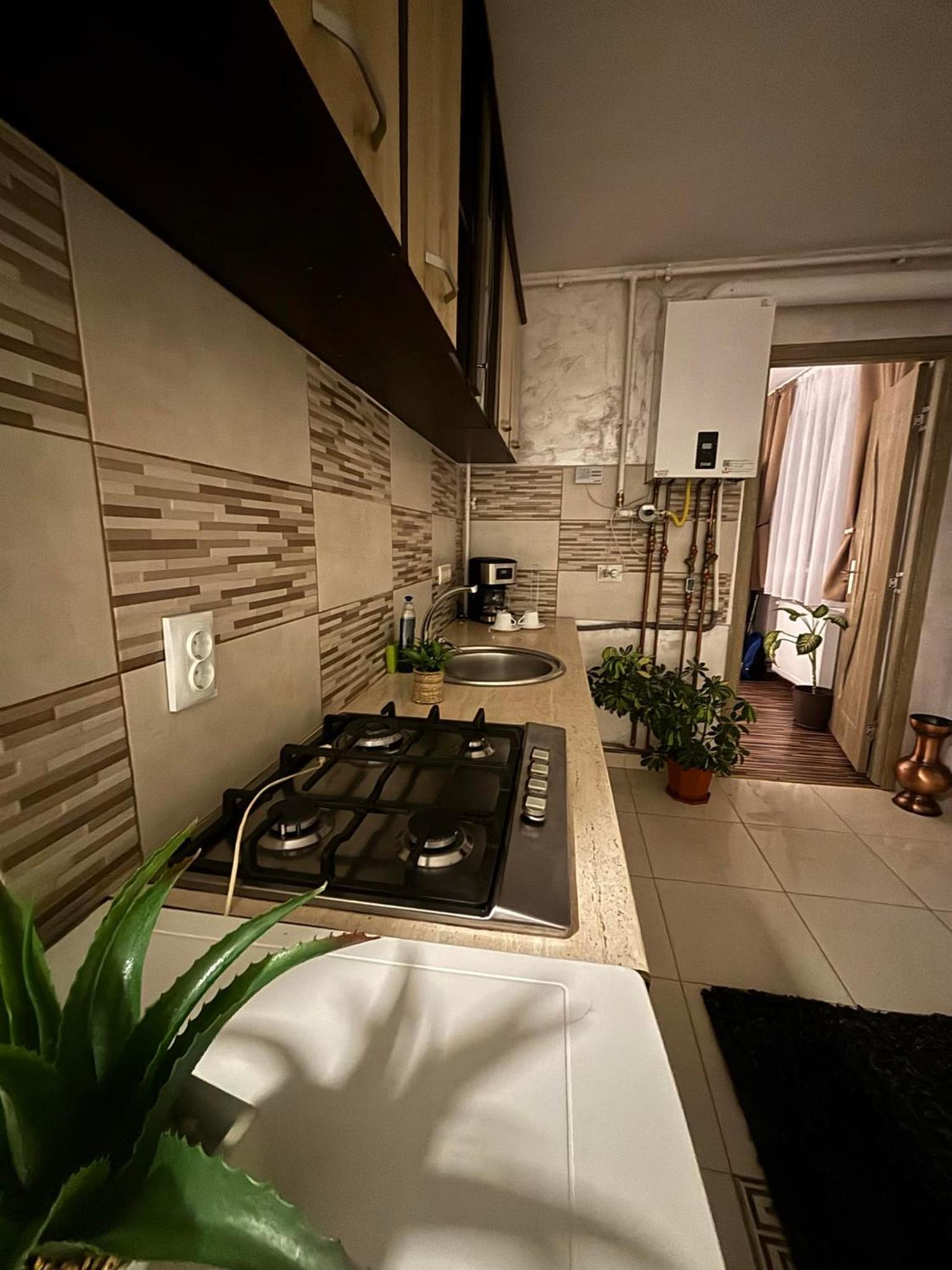 Apartament Vintage