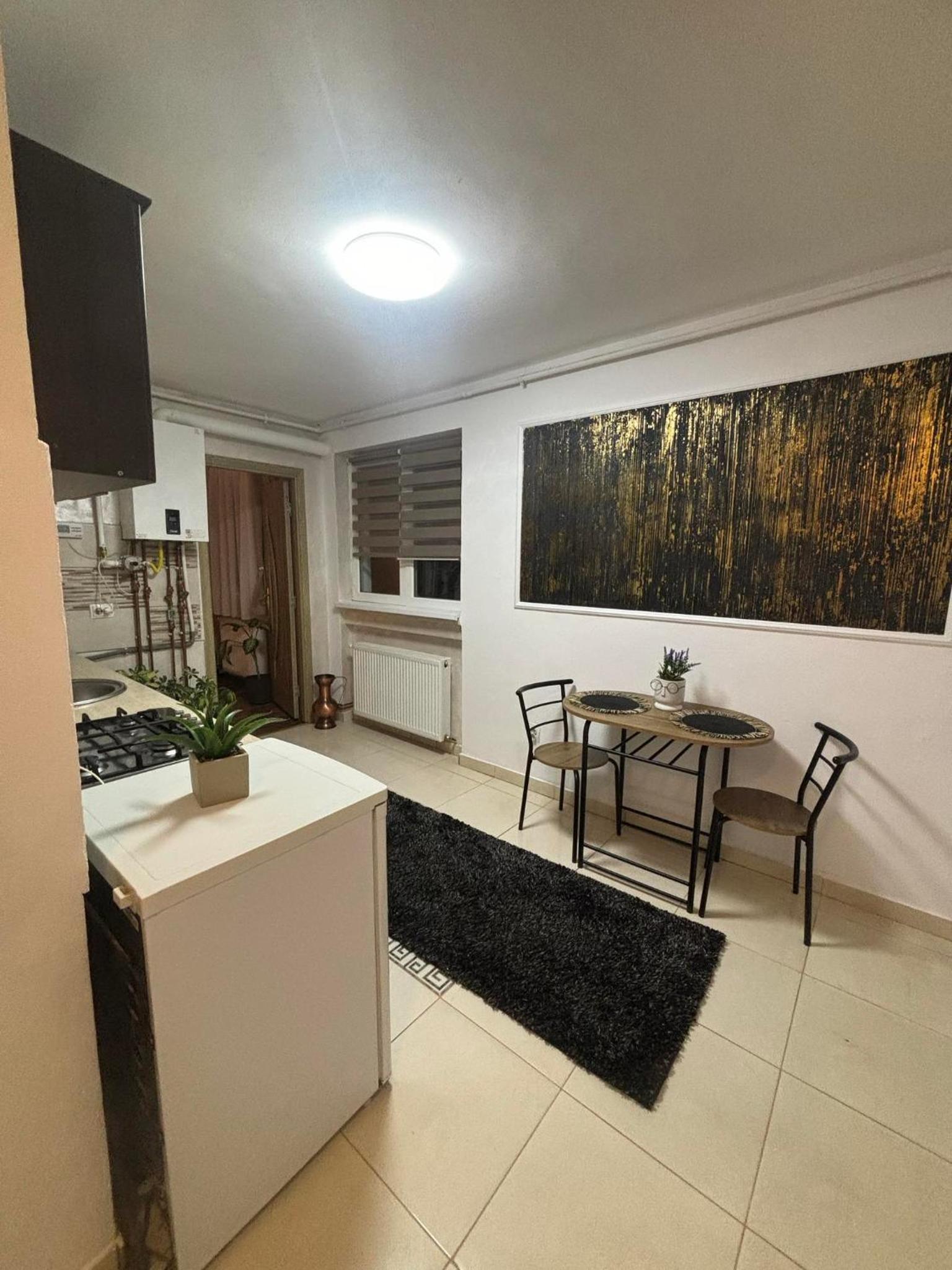 Apartament Vintage