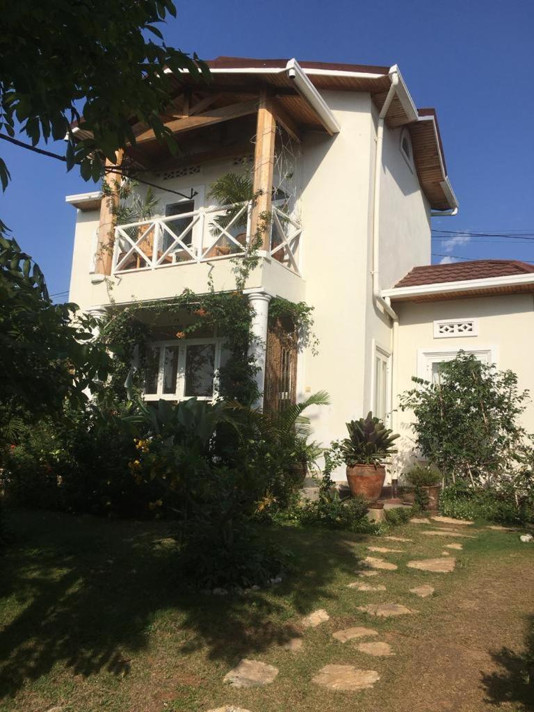 Two Sunbirds Rental