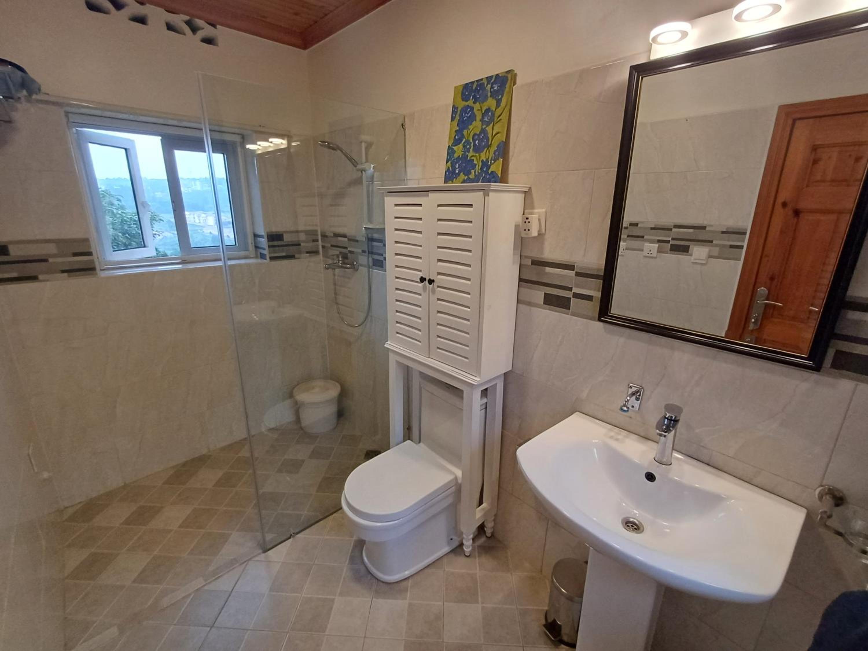 Two Sunbirds Rental
