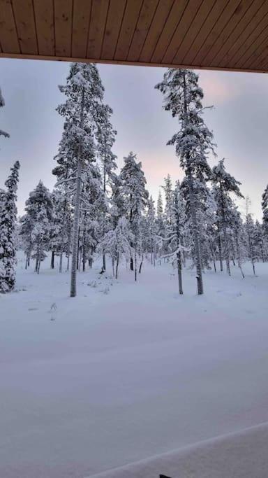 Photo 40