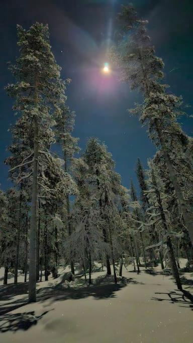 Photo 46