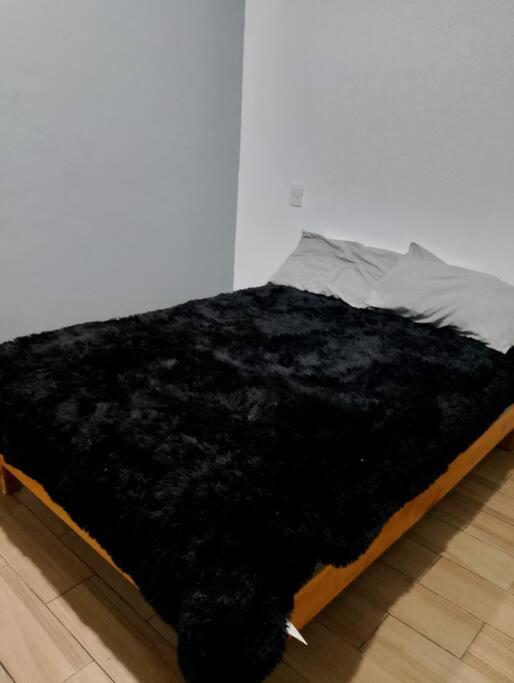 Casa Nueva con Alberca y Jacuzzi
