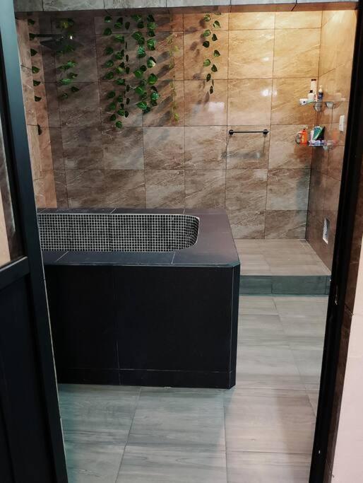 Casa Nueva con Alberca y Jacuzzi