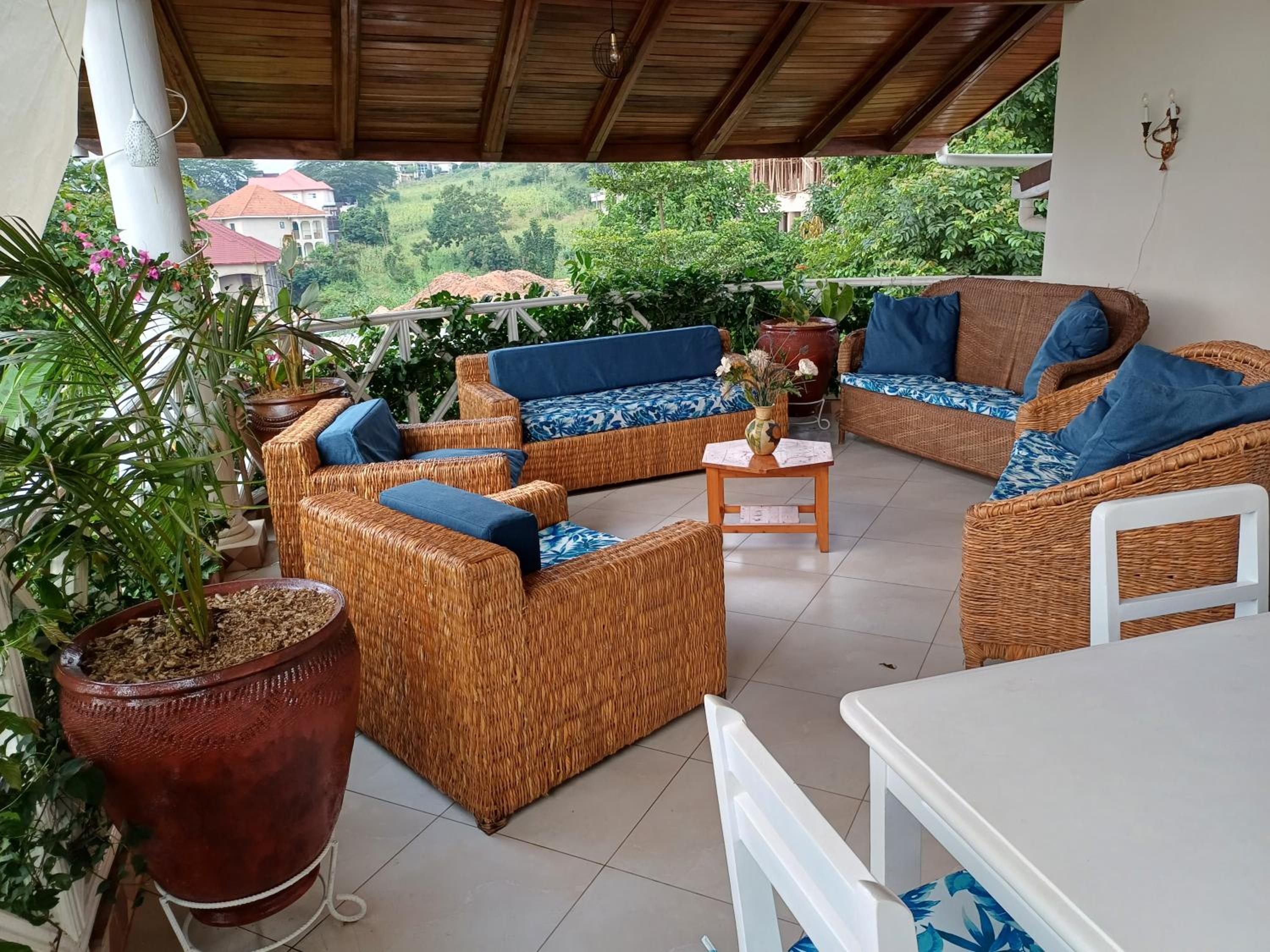 Two Sunbirds Rental