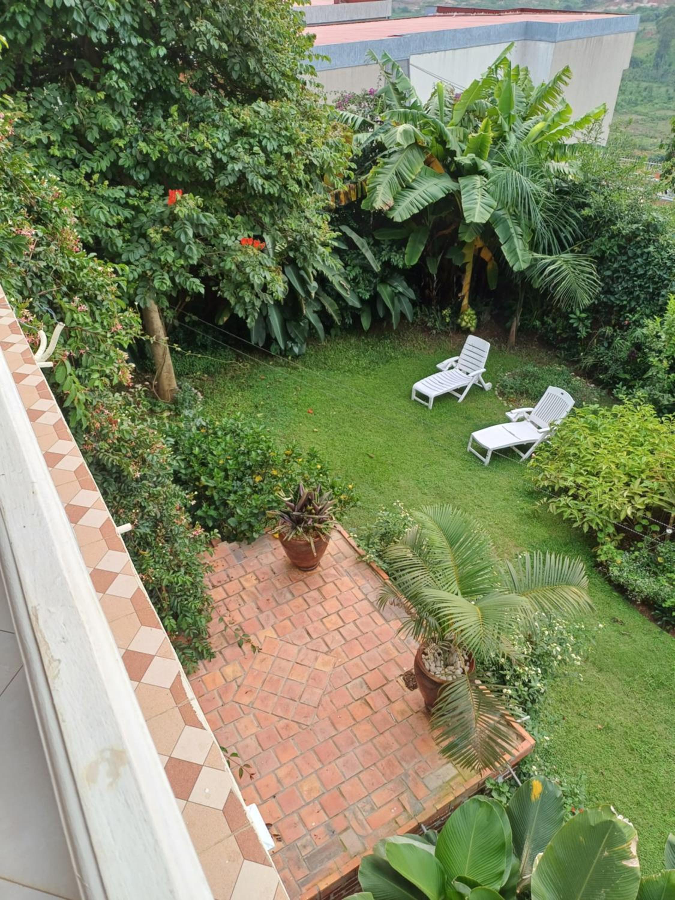 Two Sunbirds Rental