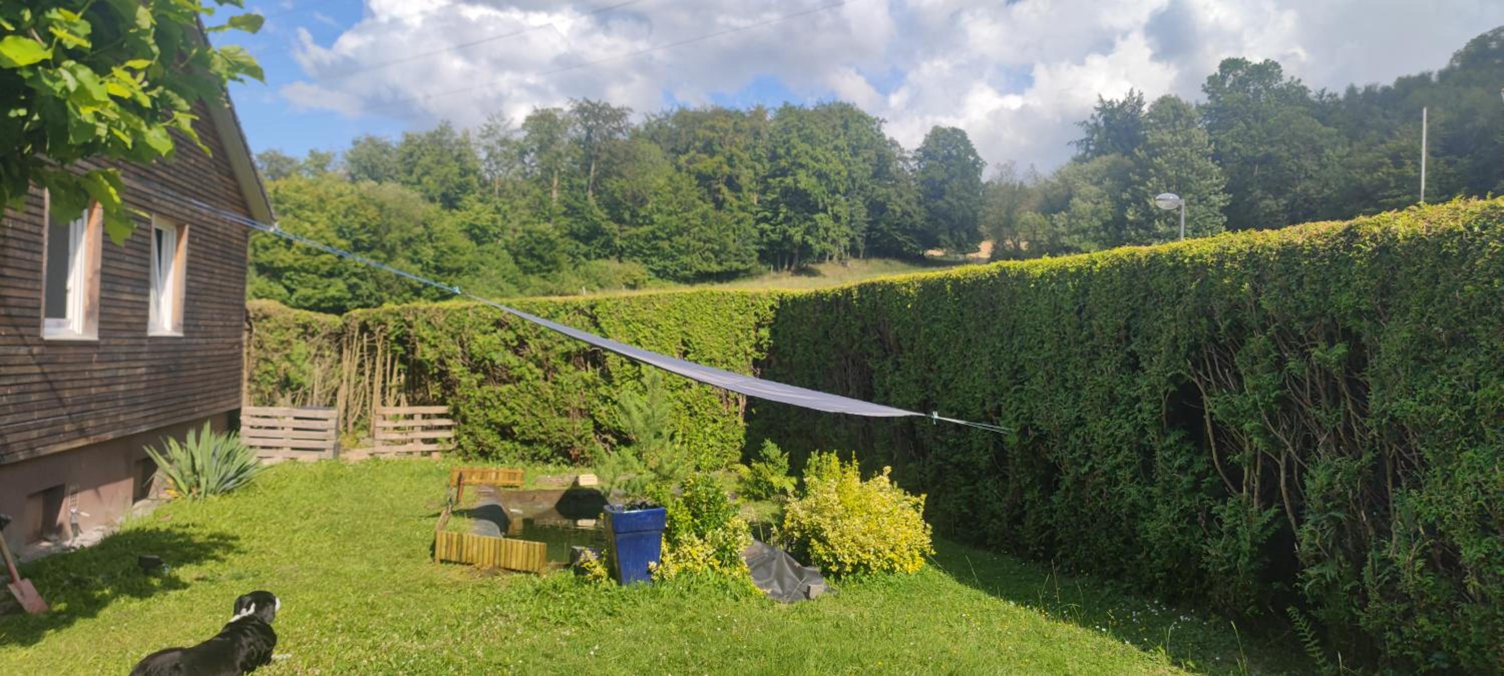 Modernes Rhombushaus im Naturparadies Sauerland