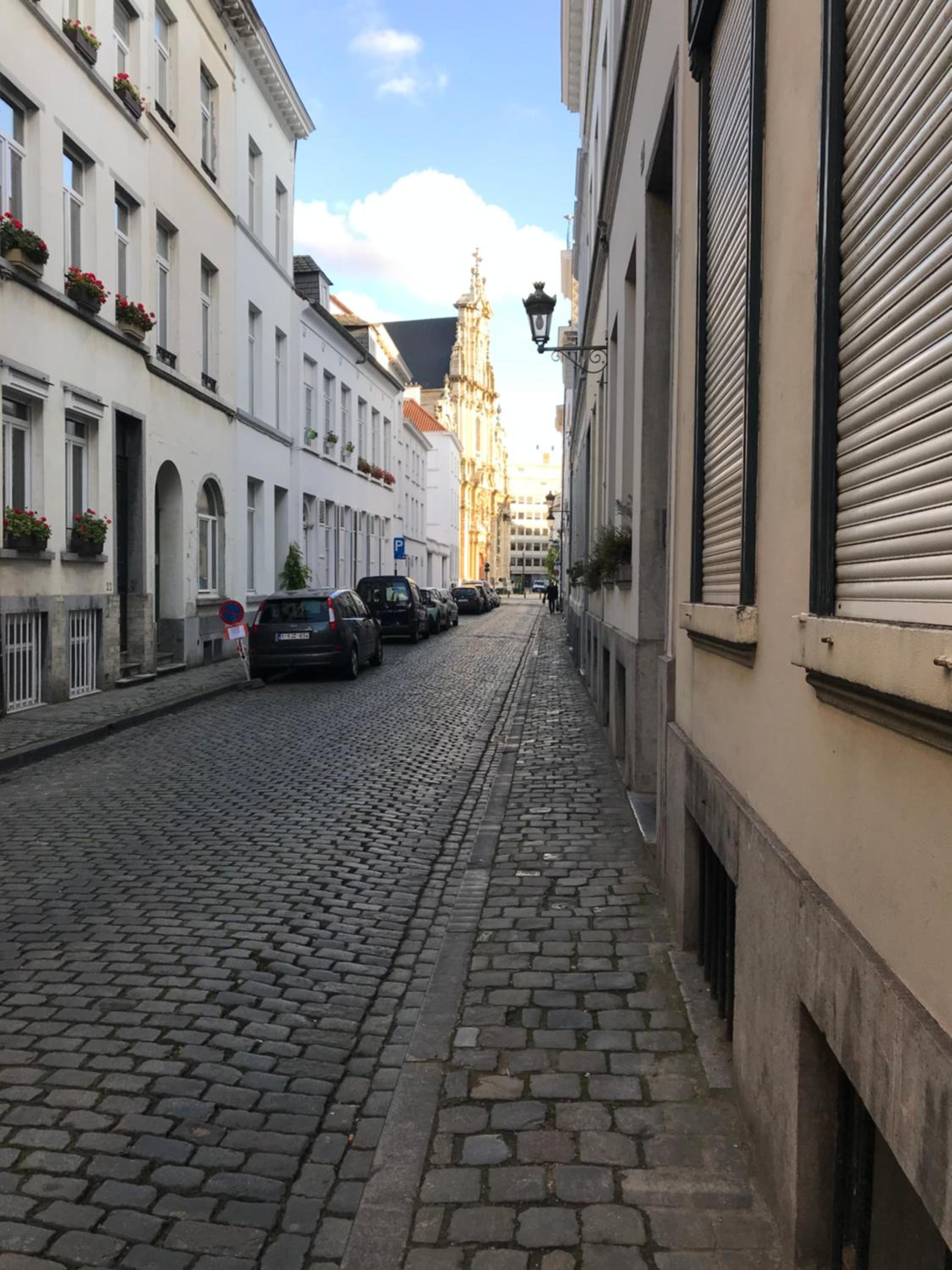 Béguinage - Central Brussels Garden Townhouse