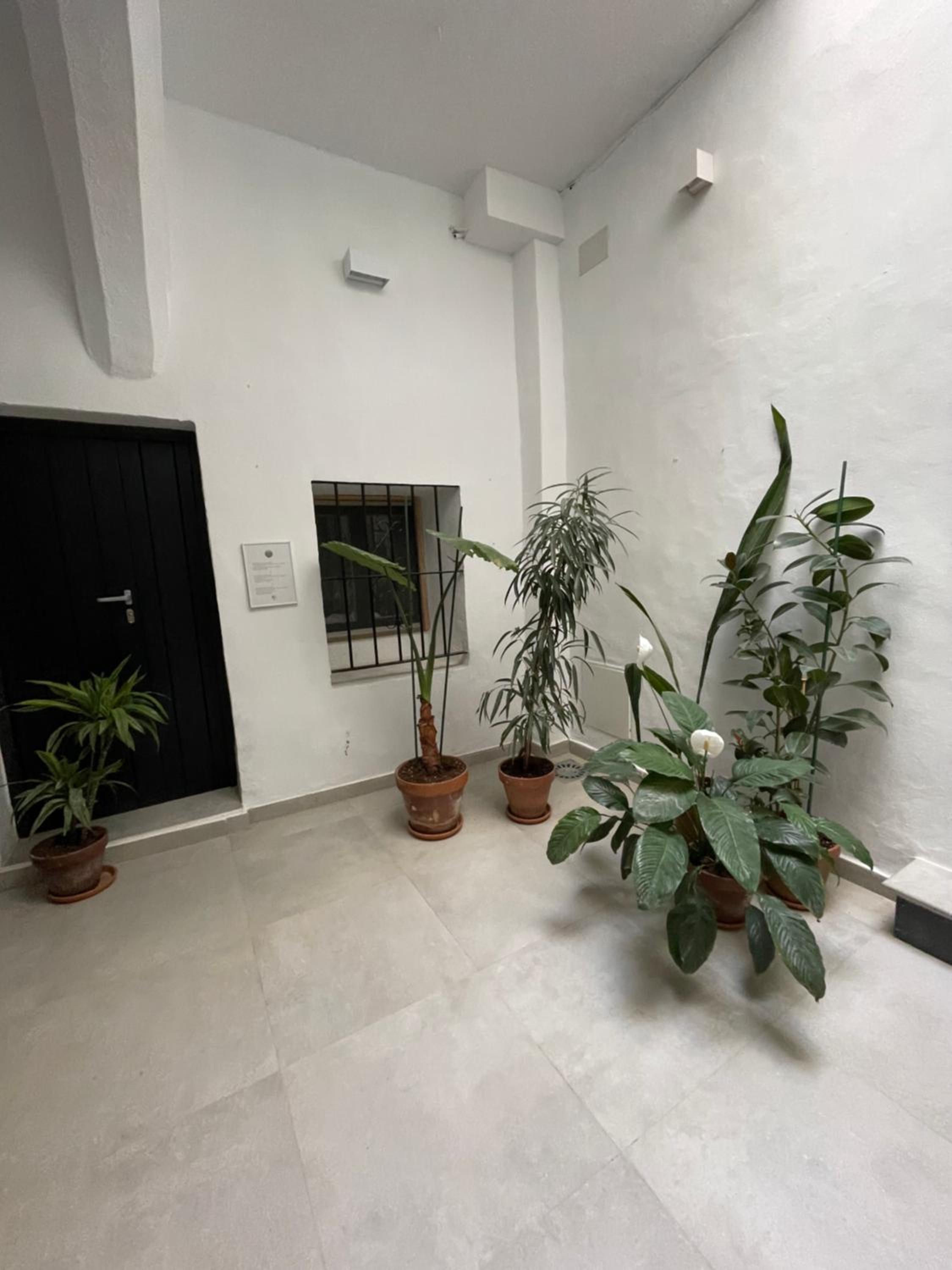 Casa Florinda Tarifa