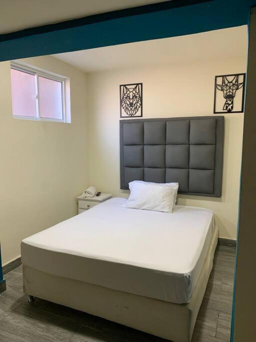 Grand Deluxe Room # 7 ICON Poblado