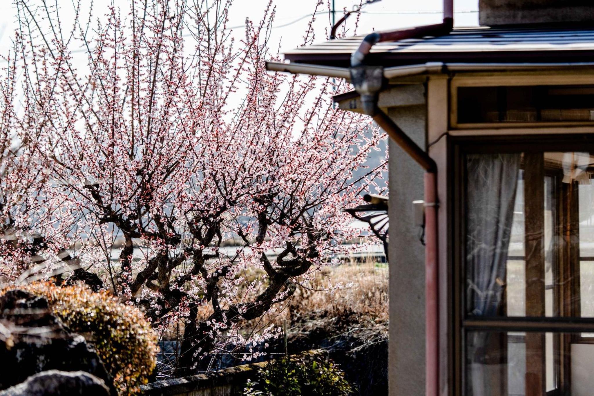 Takasaka no Sato Nodoka - Vacation STAY 85703v view 2