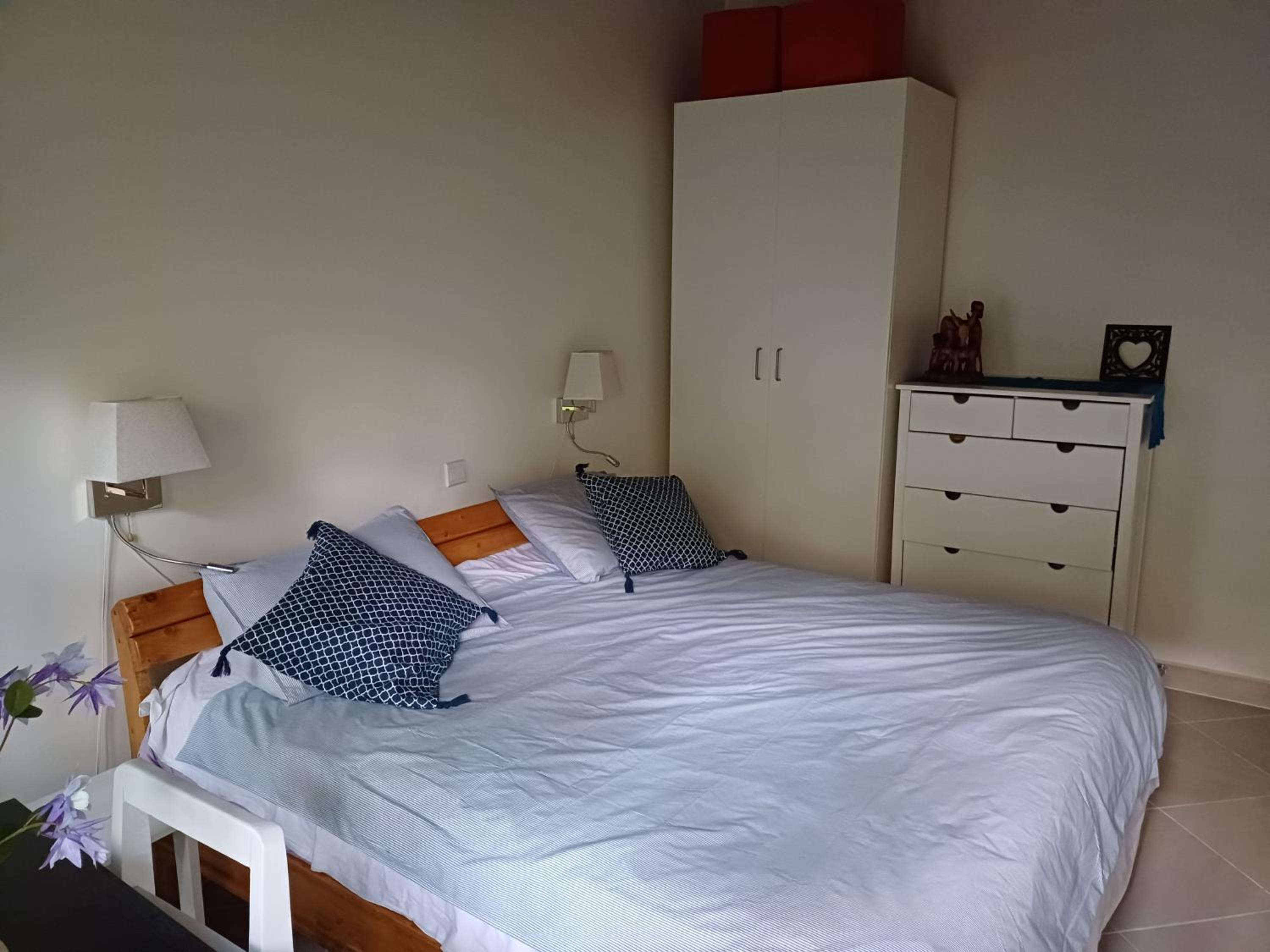 Two Sunbirds Rental