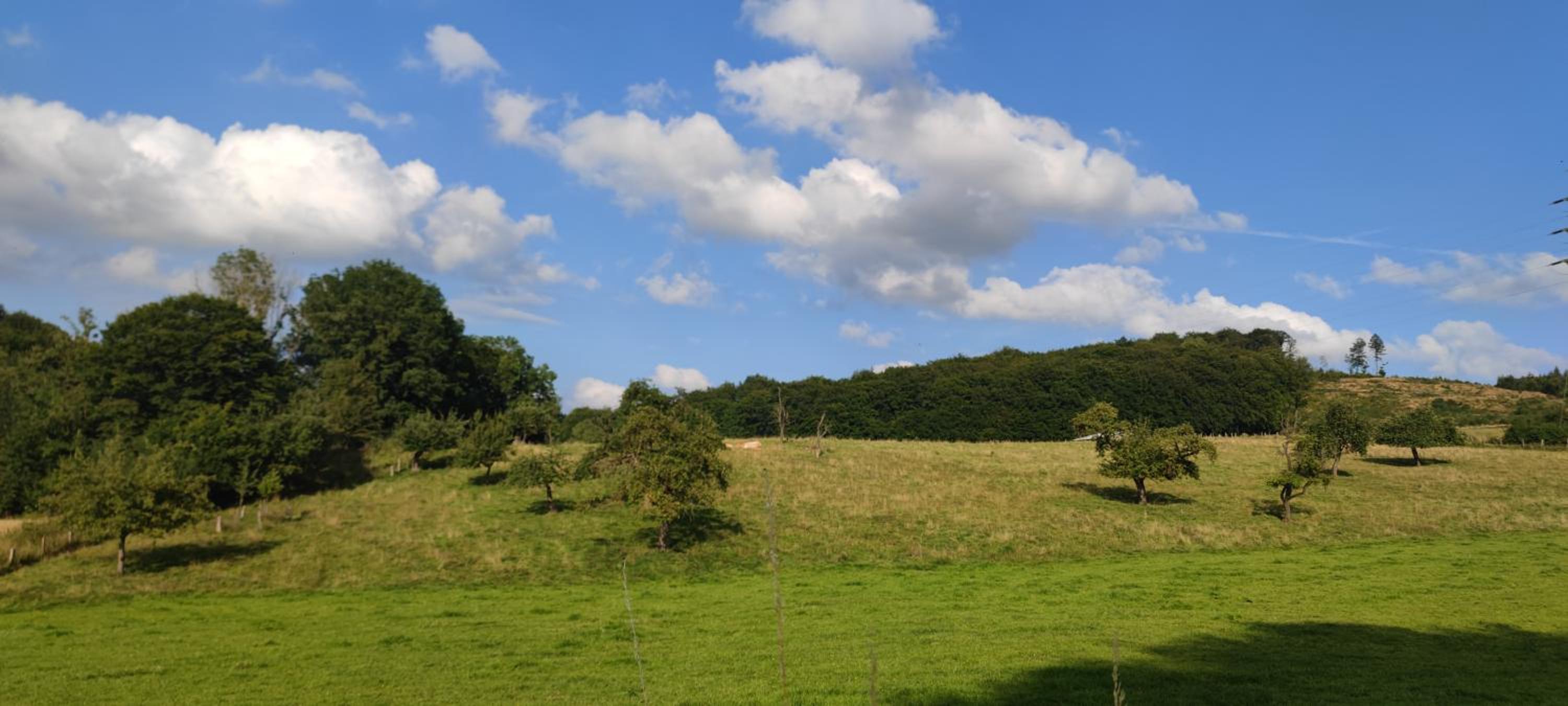 Modernes Rhombushaus im Naturparadies Sauerland