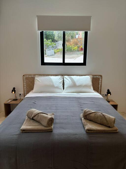 SERU40 Apartment 1