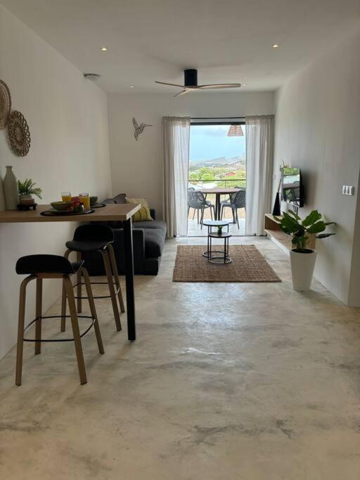 SERU40 Apartment 1