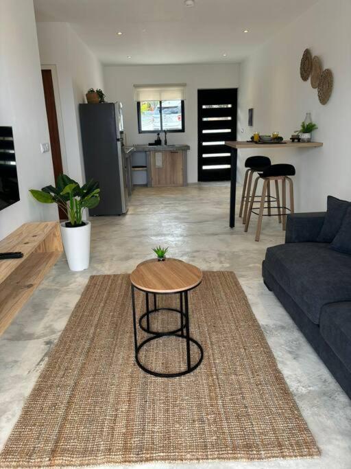 SERU40 Apartment 1