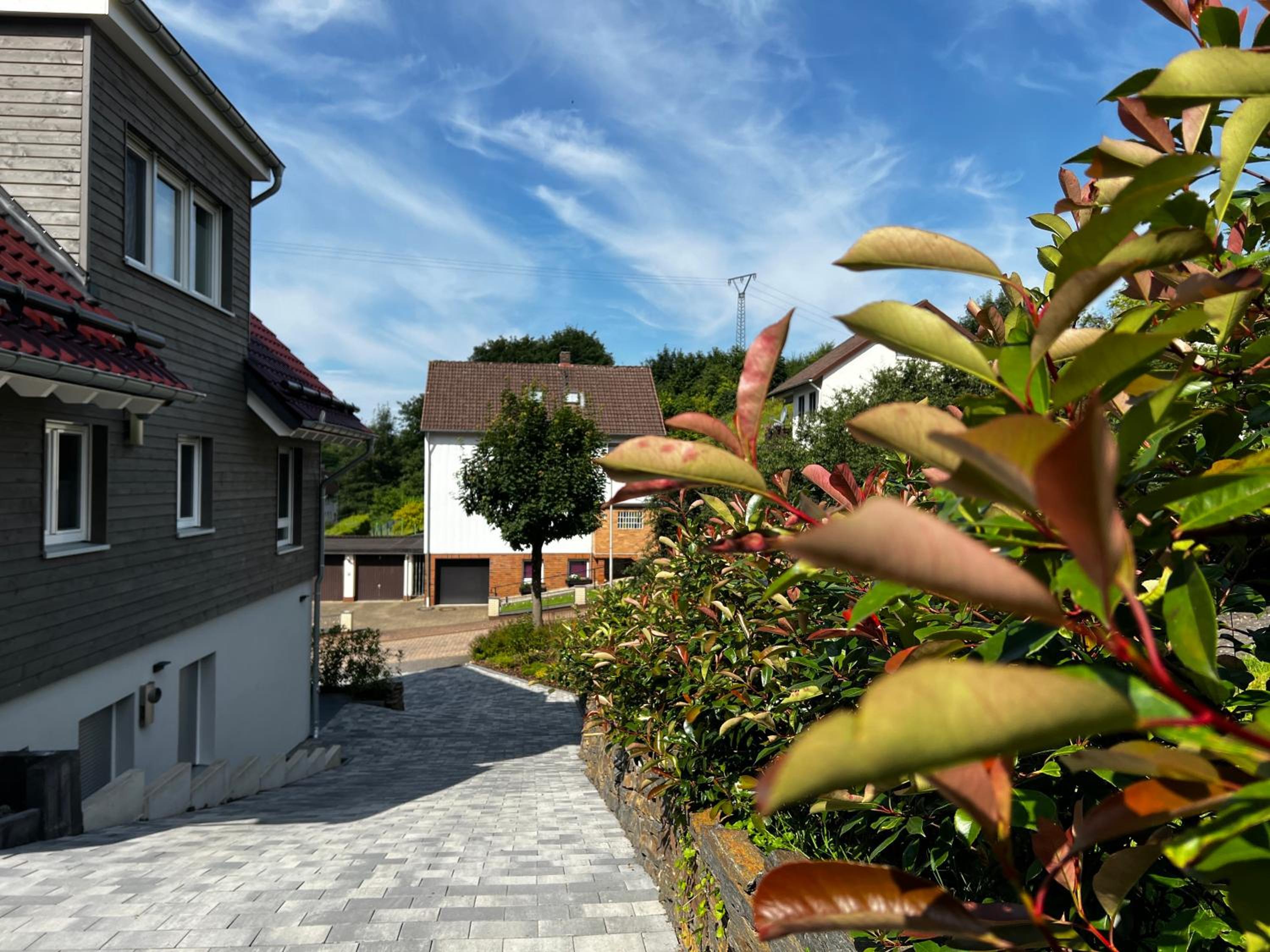FeHaus Weltwald Harz