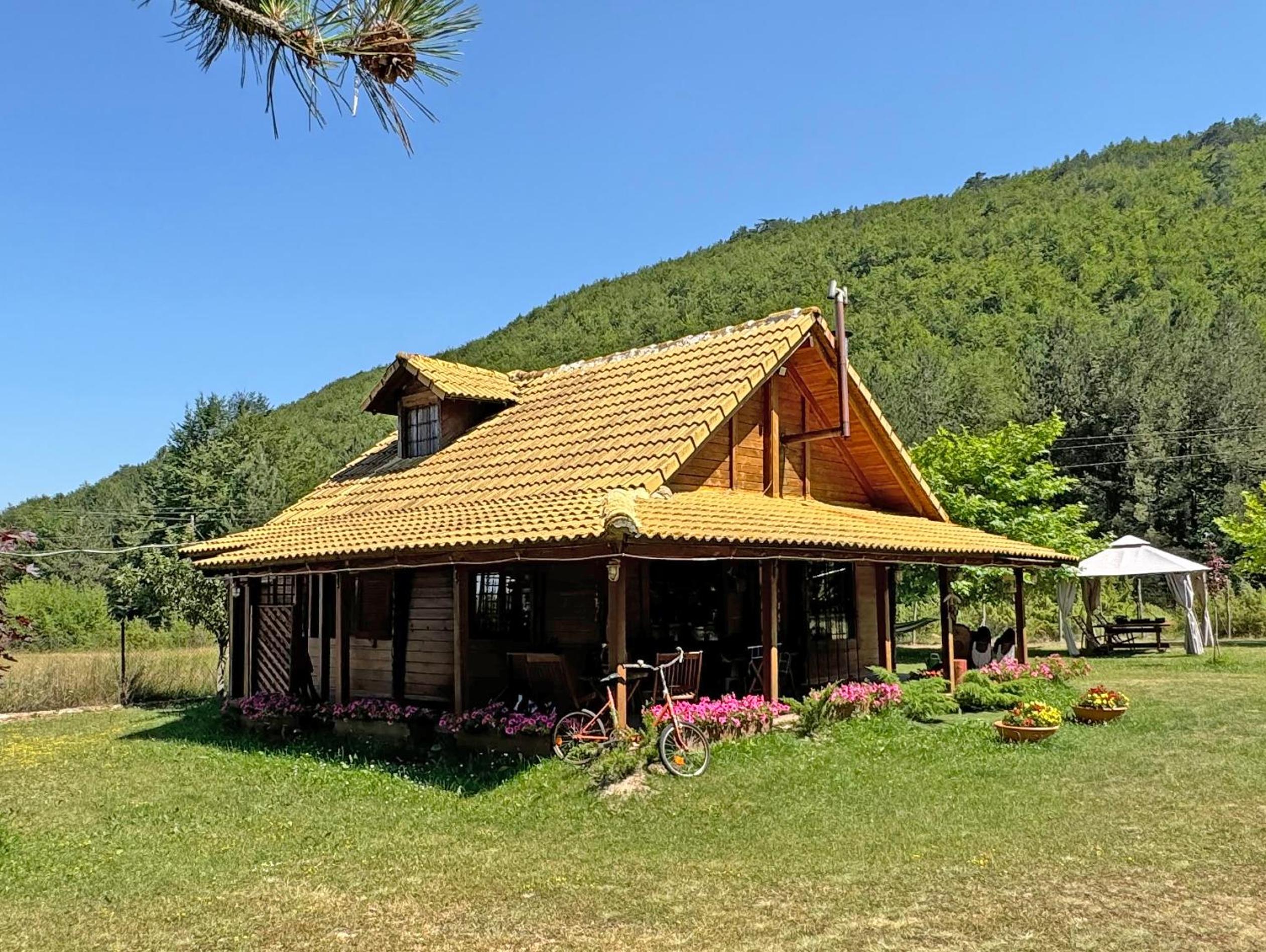 Woodhouse Xirolivado