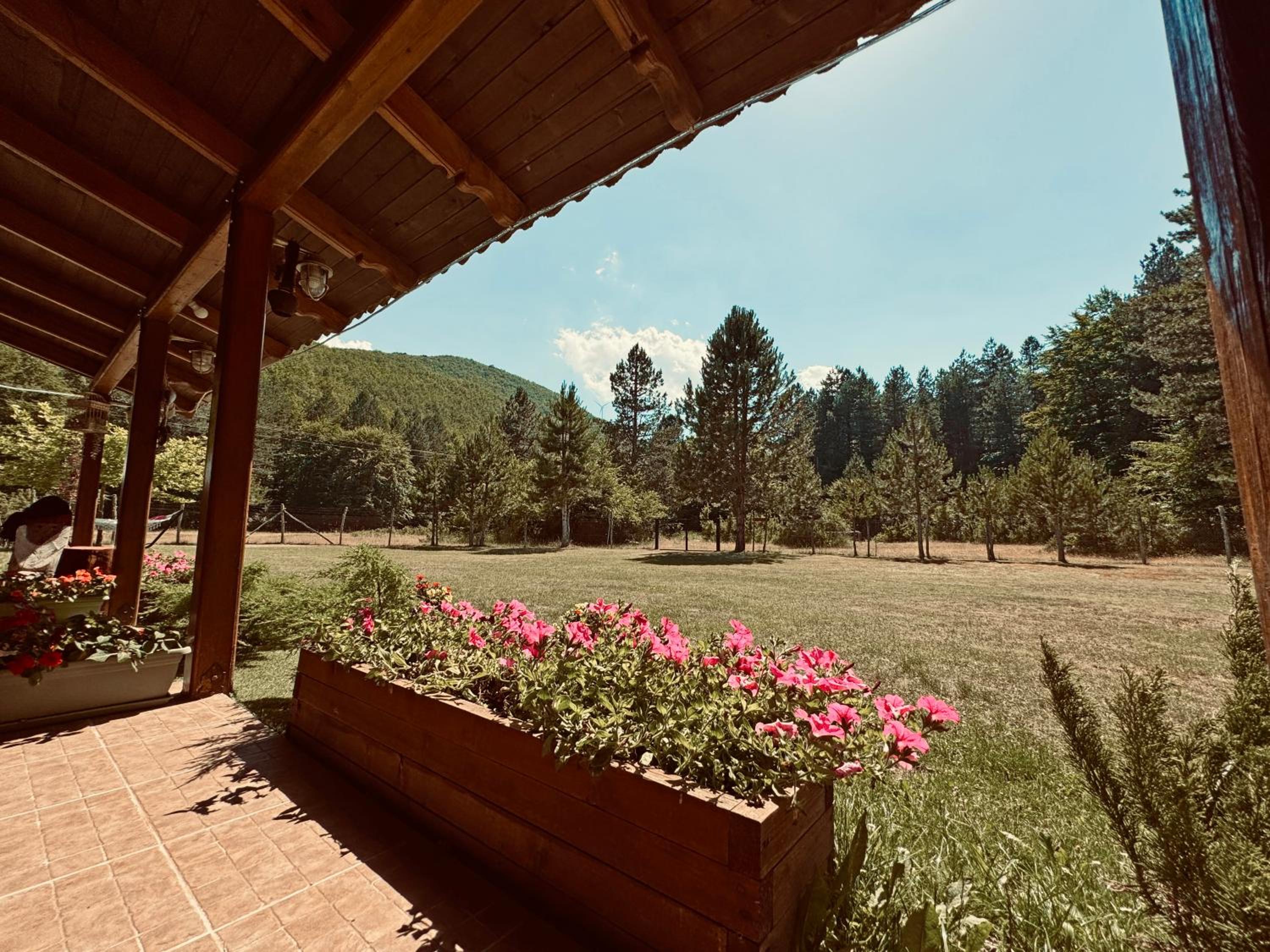 Woodhouse Xirolivado