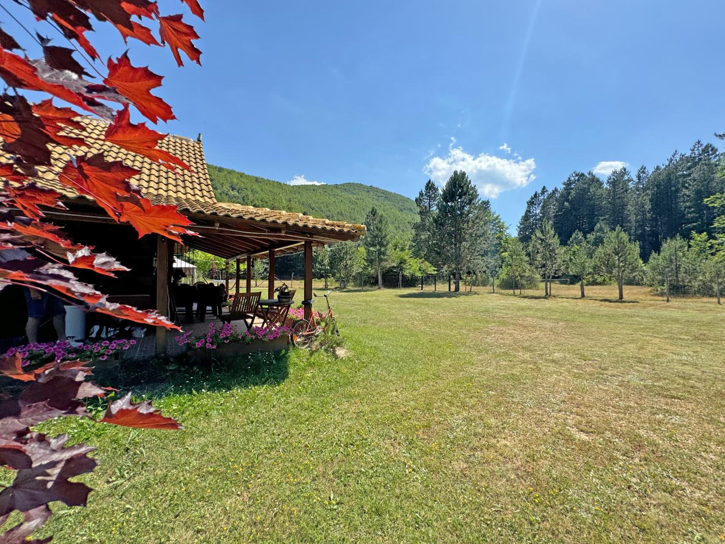 Woodhouse Xirolivado