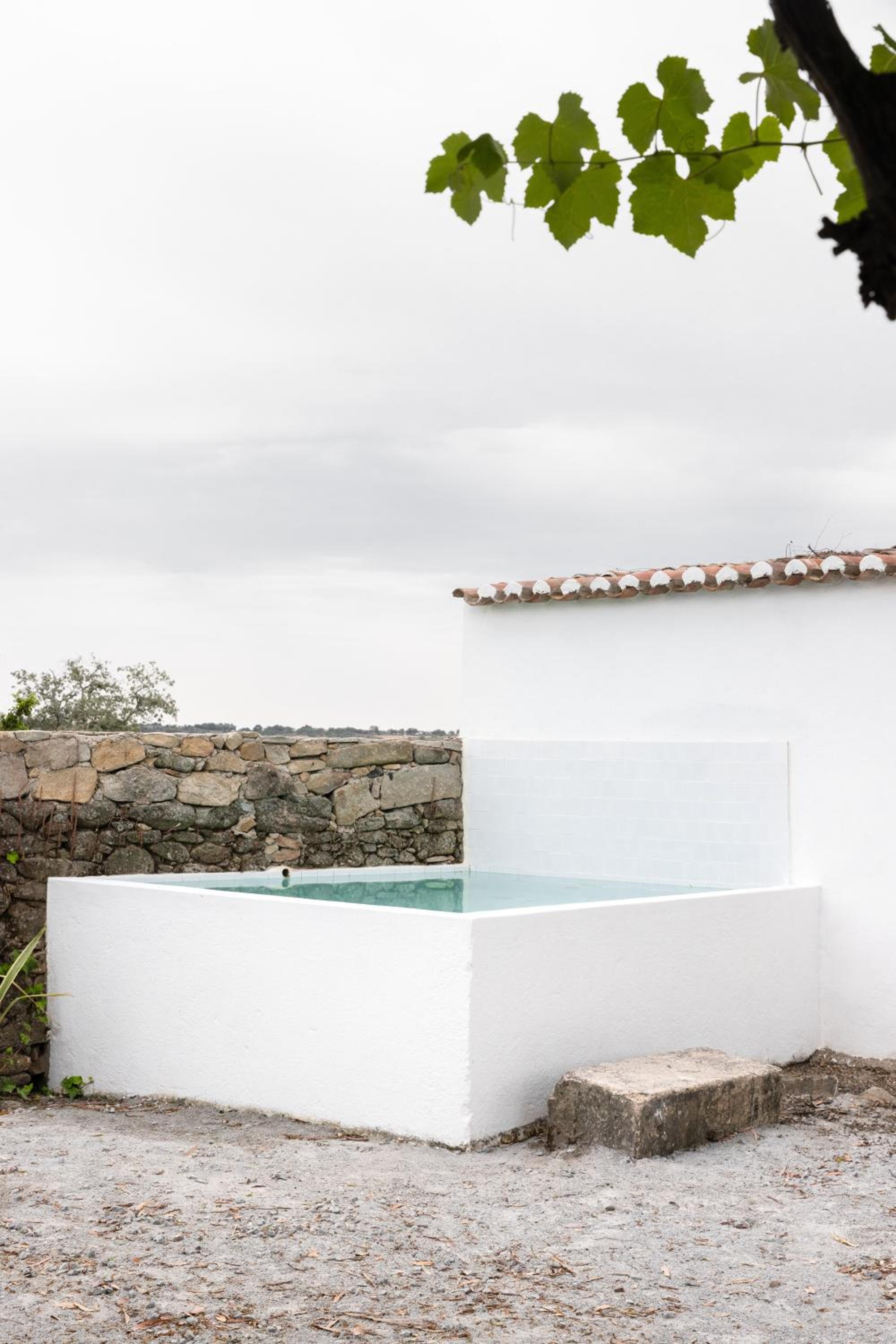 Monte dos Coureleiros