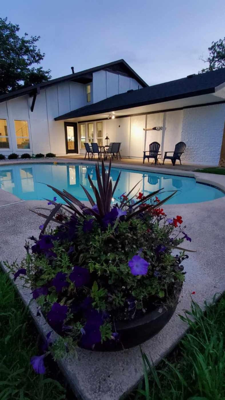 Modern Oasis view 5