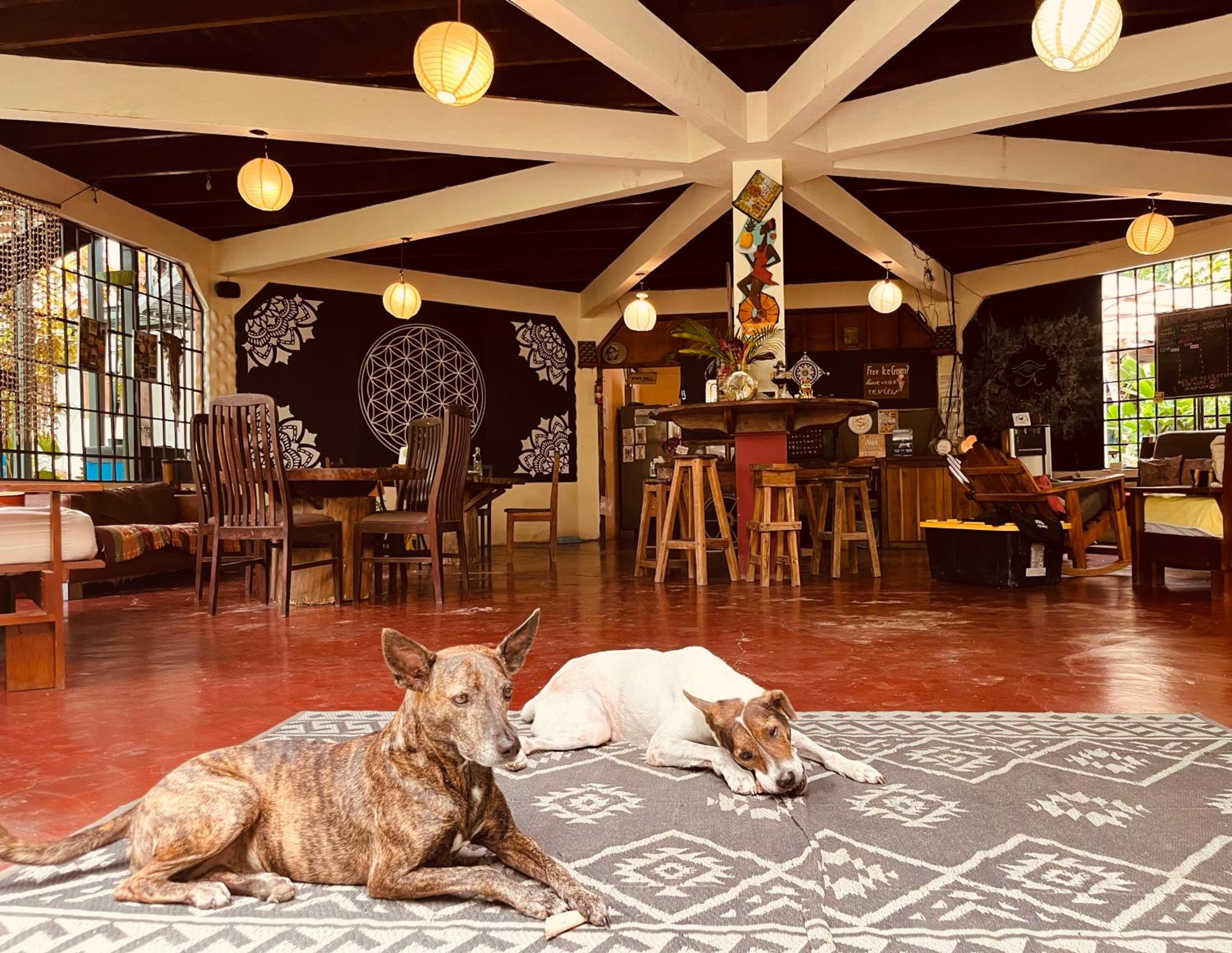 La Ruka Hostel view 3