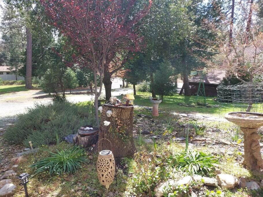 Large Home at Yosemite Gateway ! view 4