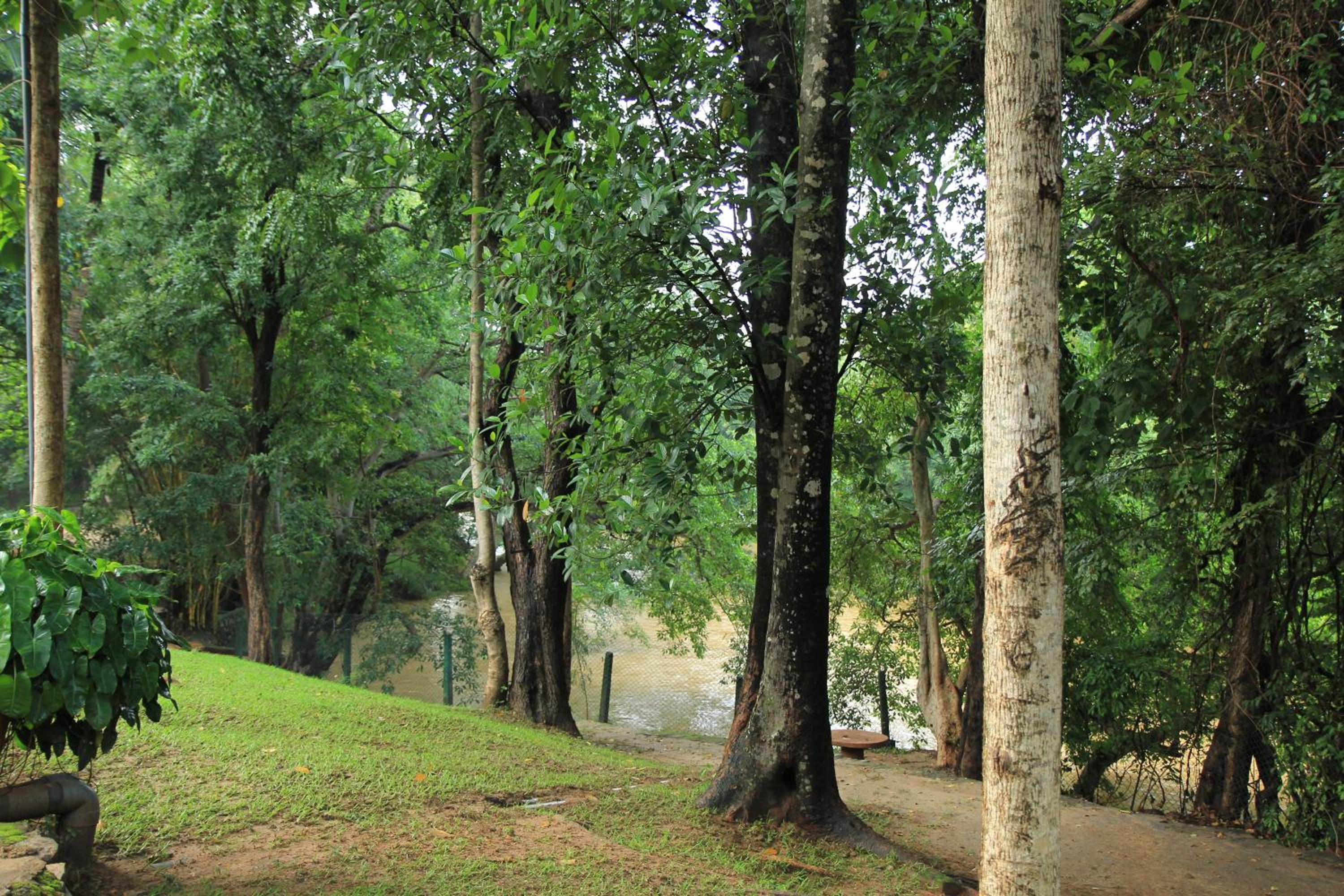 Dambulu Oya Family Park